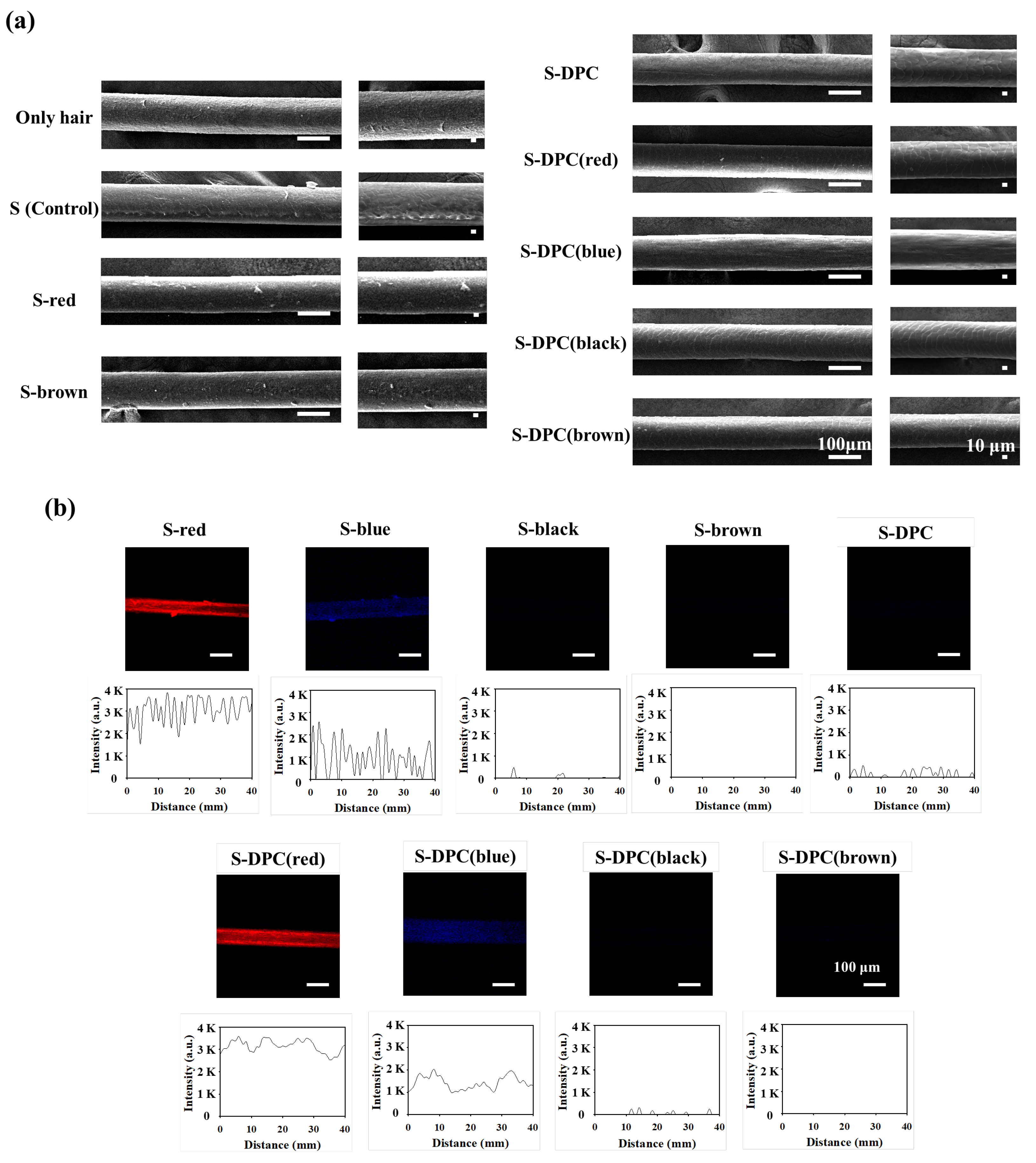 Biomimetics 08 00469 g003
