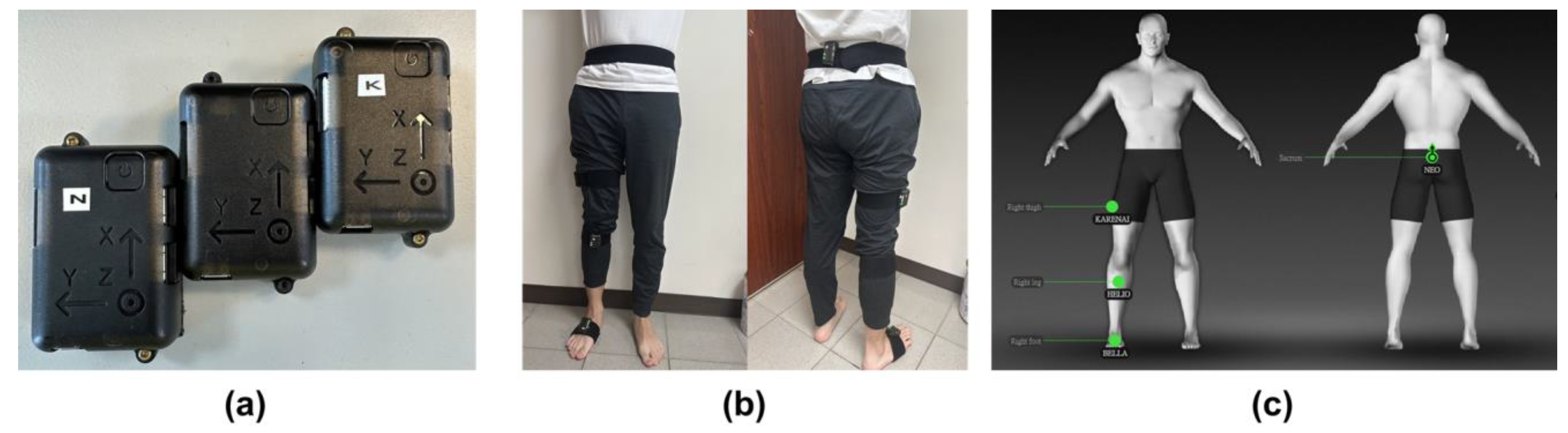 Biomimetics 08 00471 g001