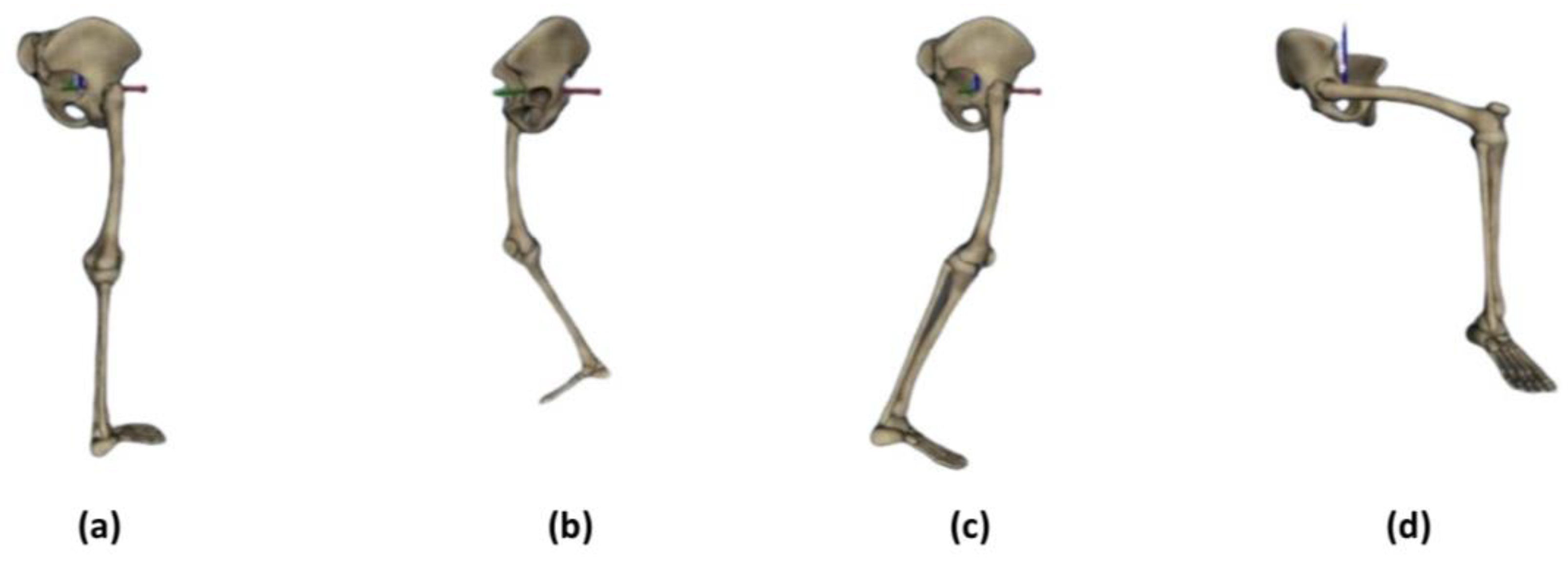 Biomimetics 08 00471 g002