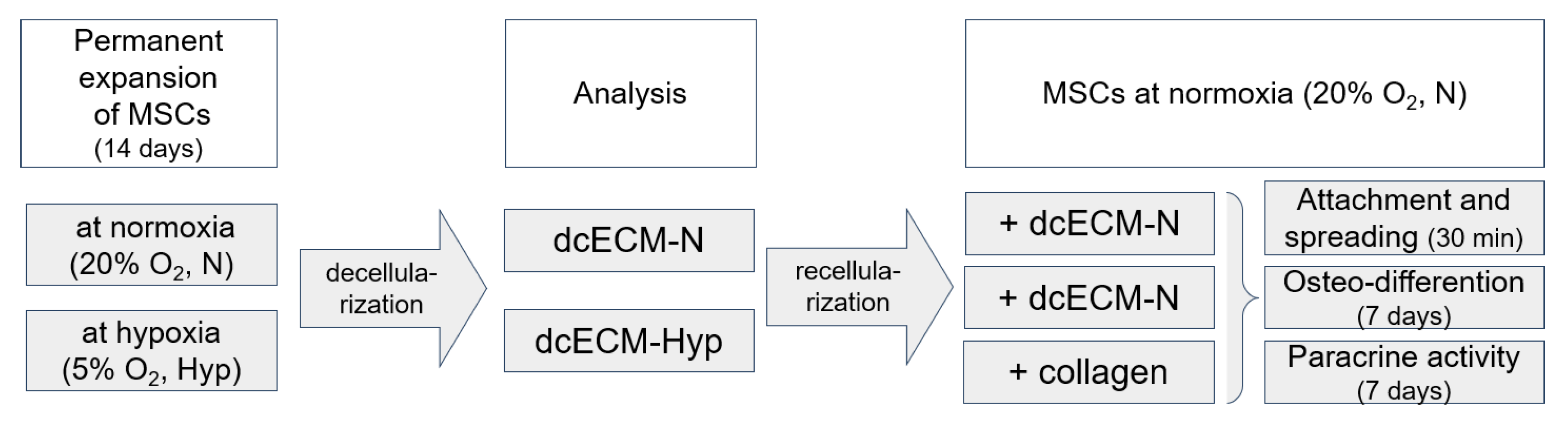 Biomimetics 08 00476 g001