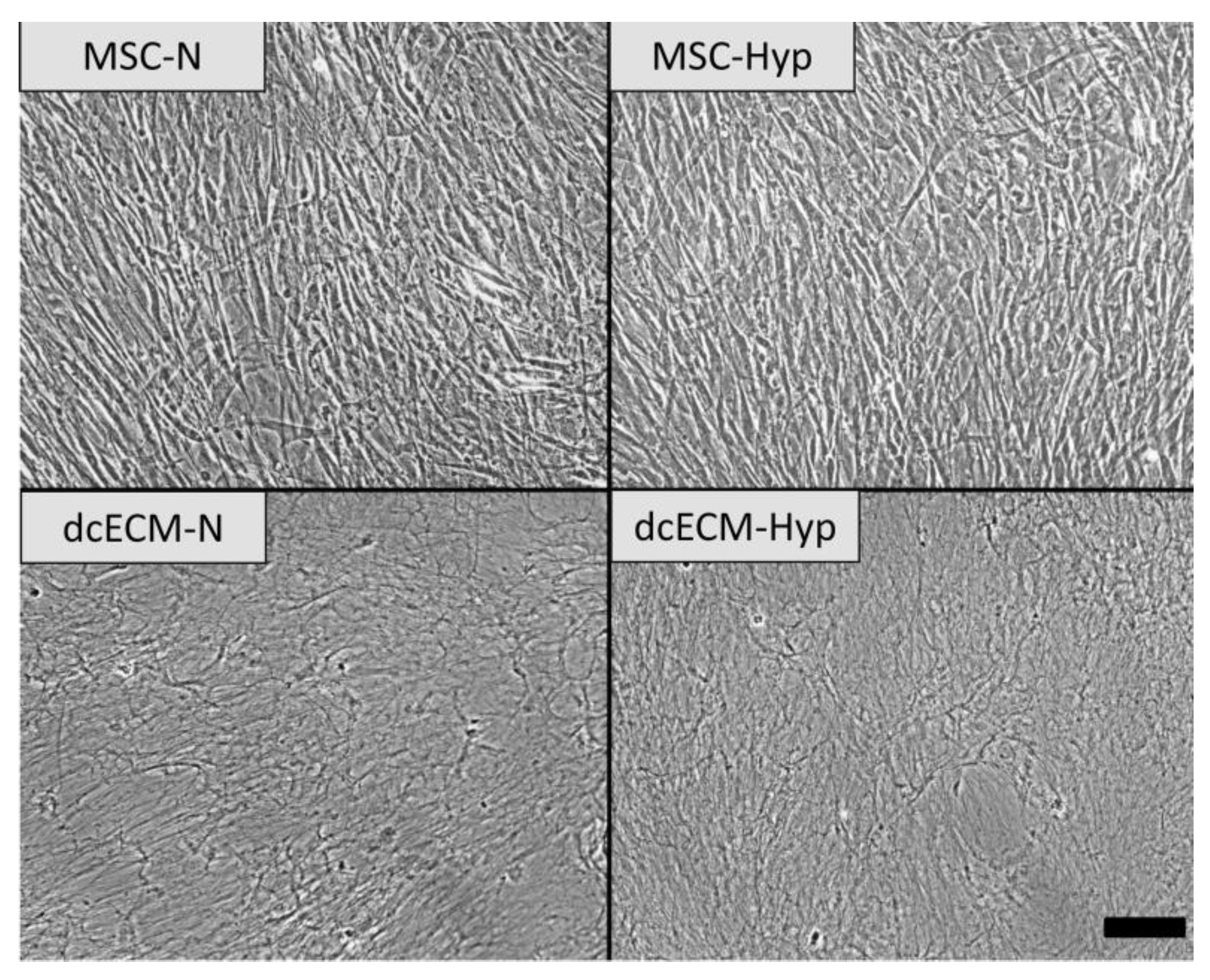 Biomimetics 08 00476 g002