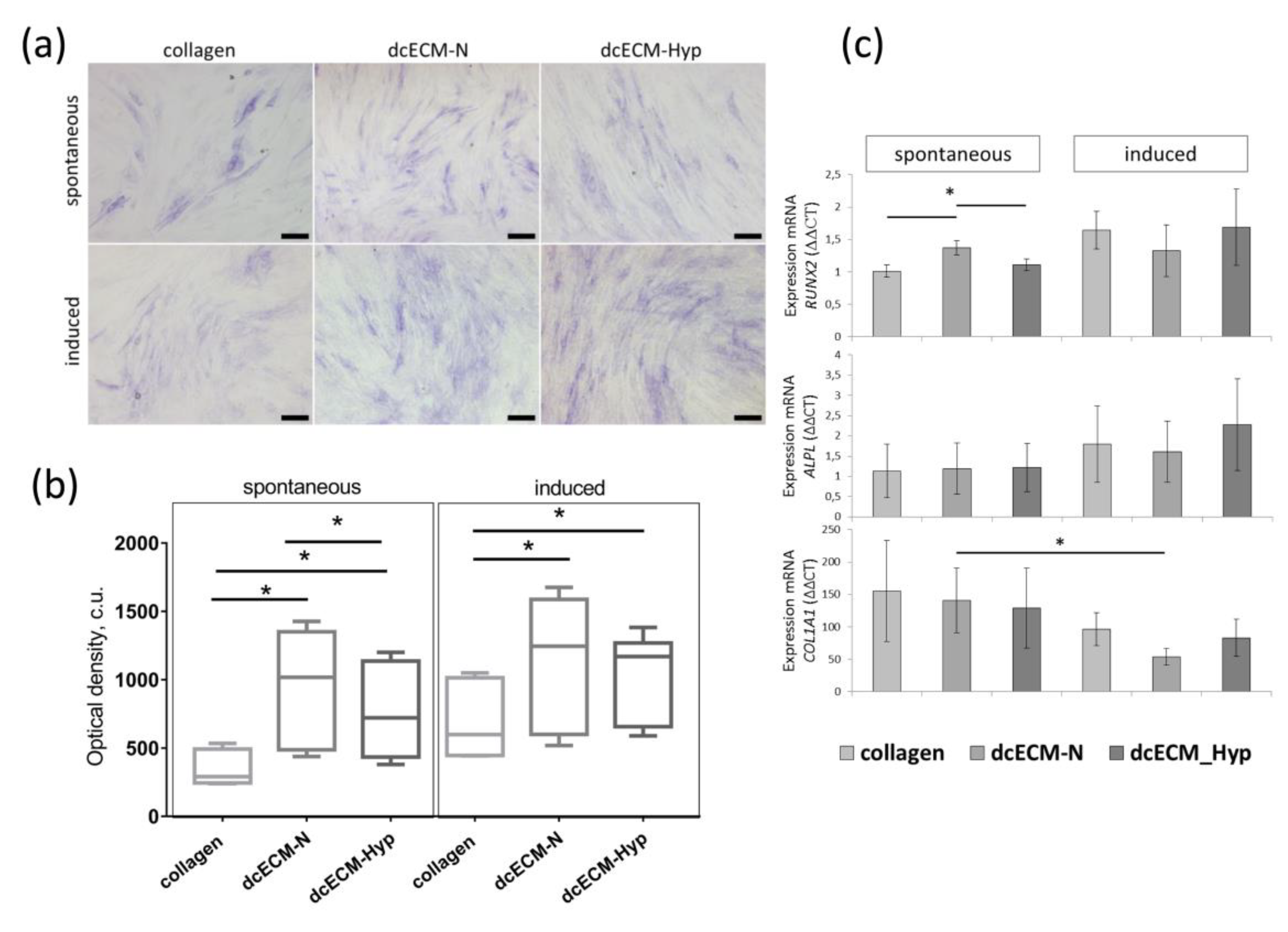 Biomimetics 08 00476 g006