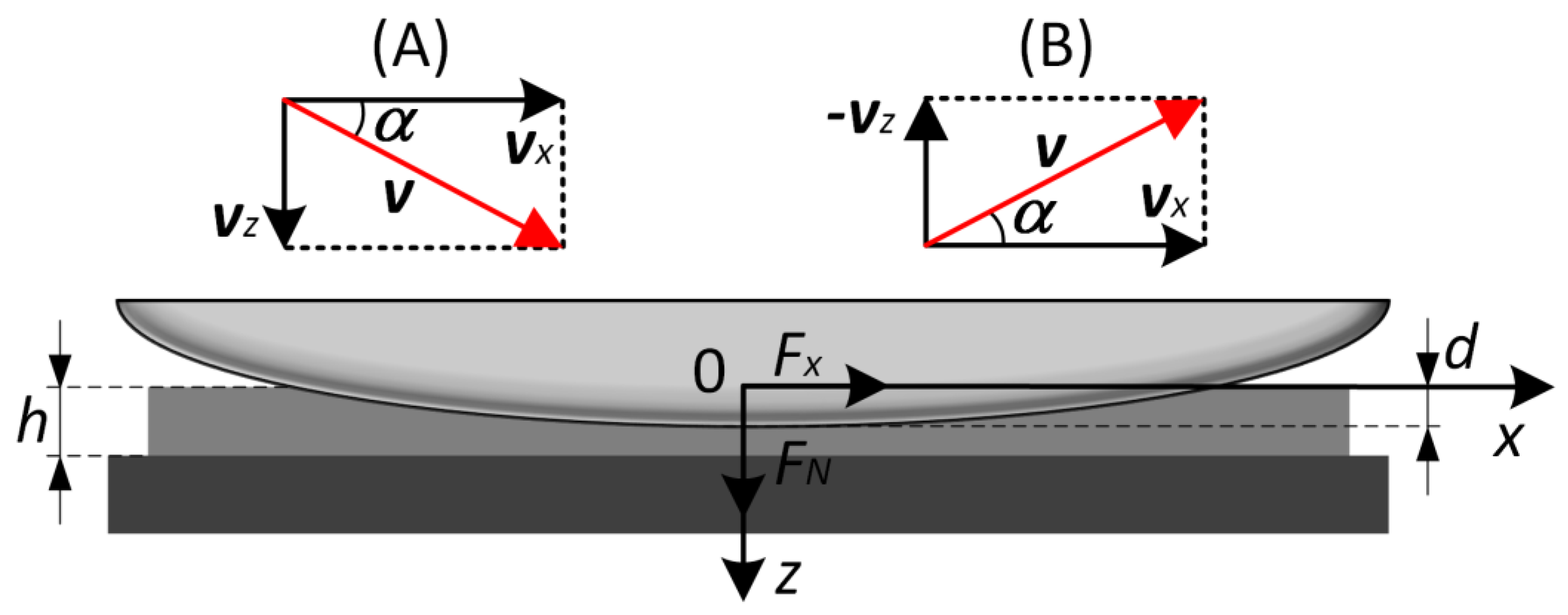 Biomimetics 08 00477 g002