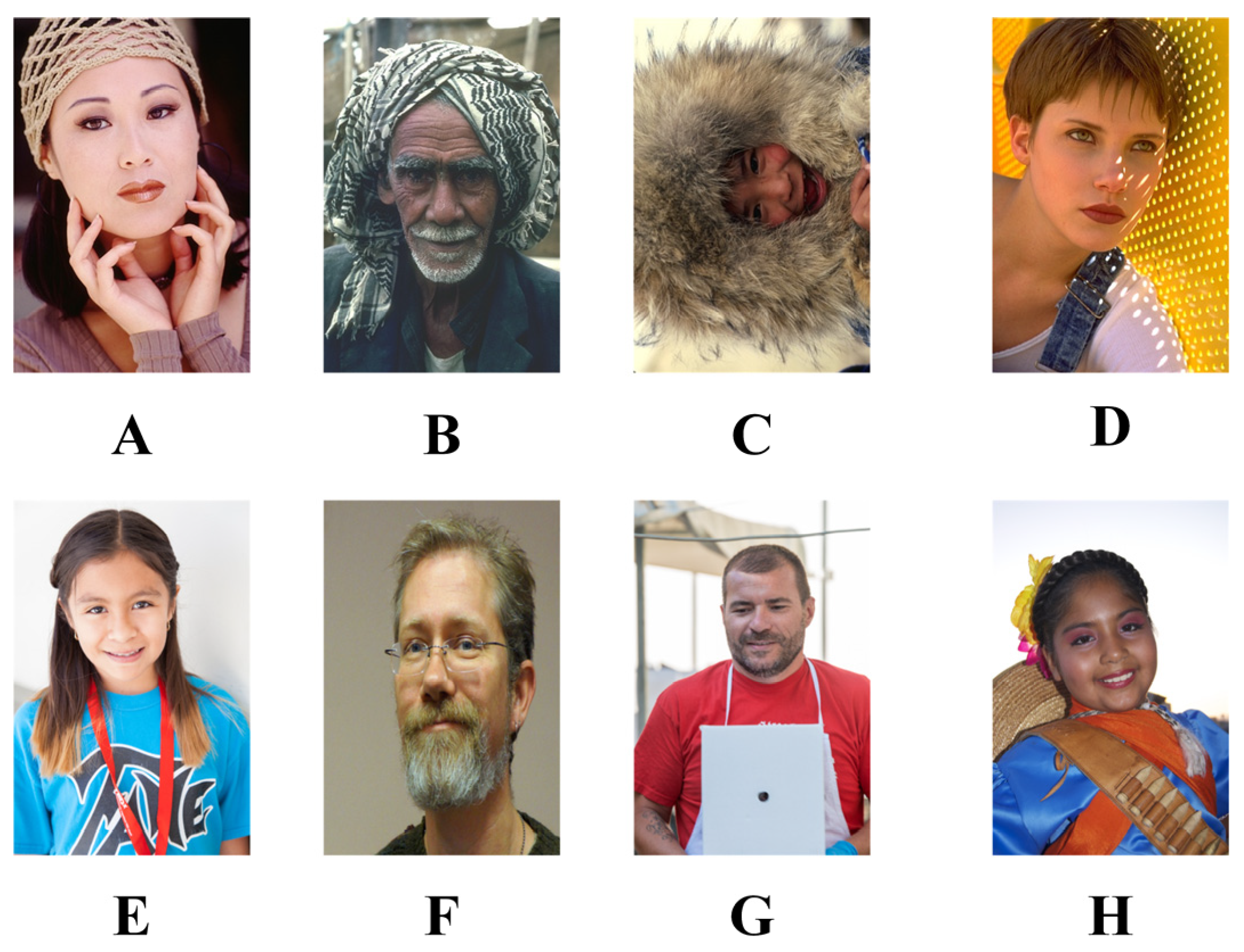 Biomimetics 08 00484 g004