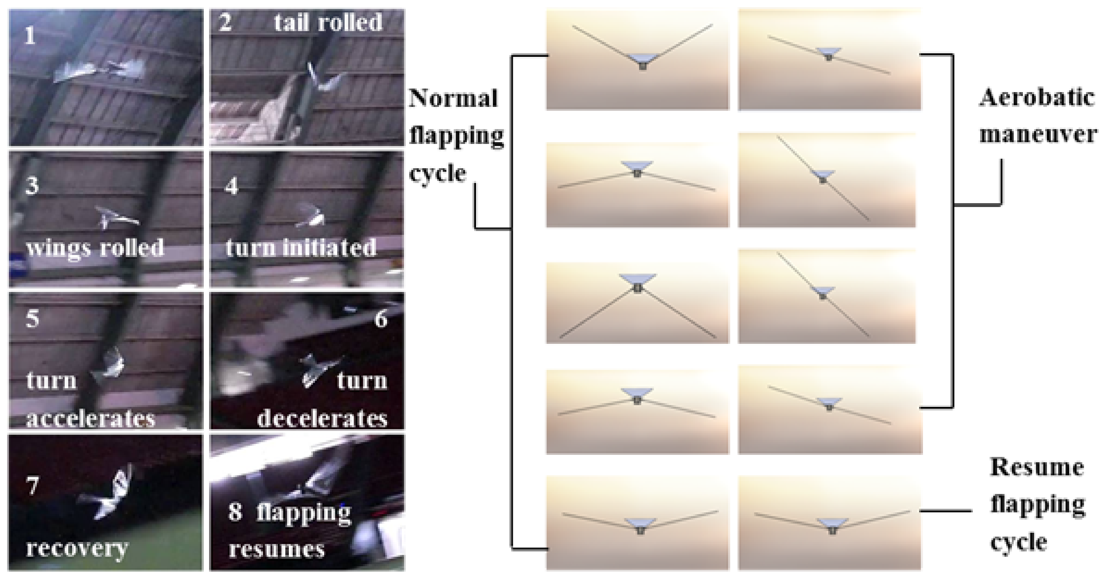 Biomimetics 08 00485 g005