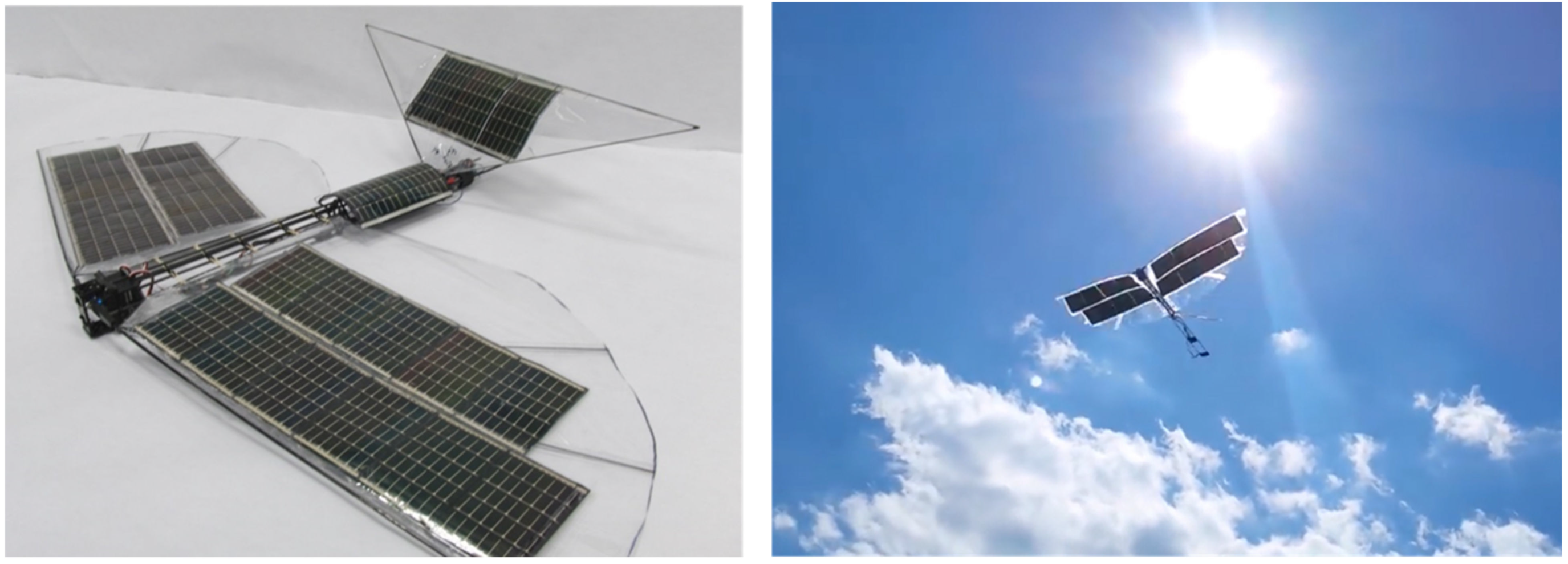 Biomimetics 08 00485 g012