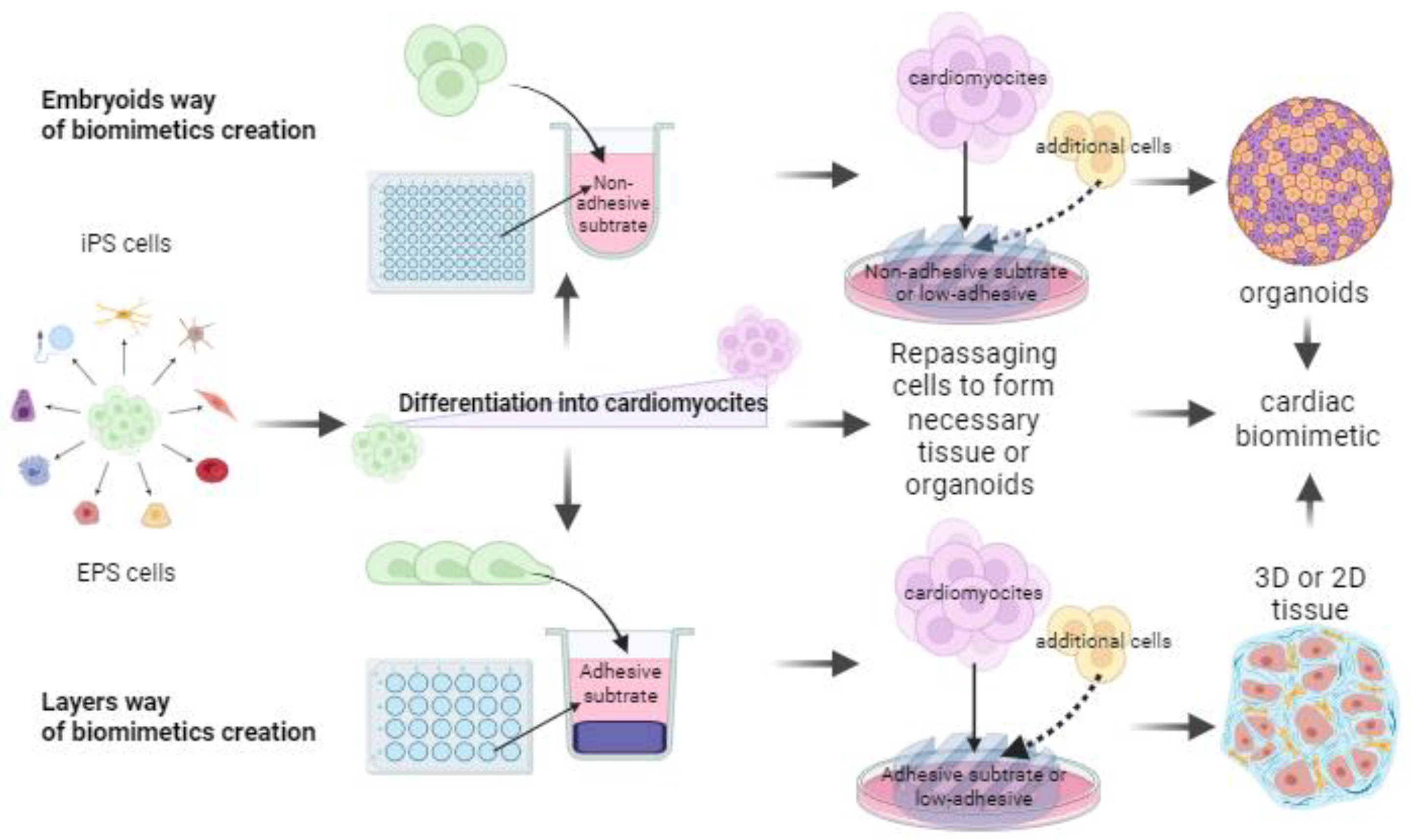 Biomimetics 08 00487 g004 Biomimetics 08 00487 g004