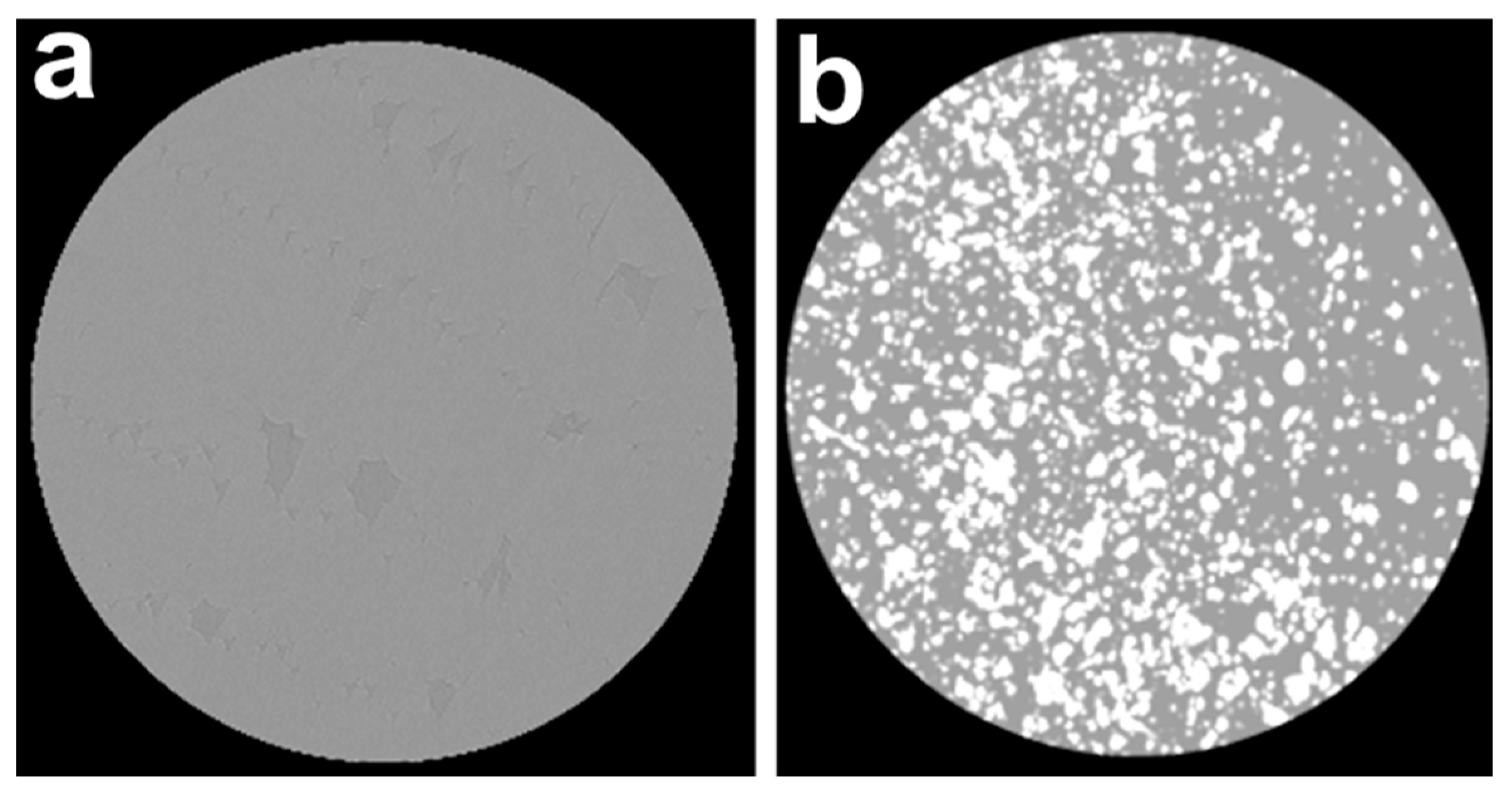 Biomimetics 08 00488 g010