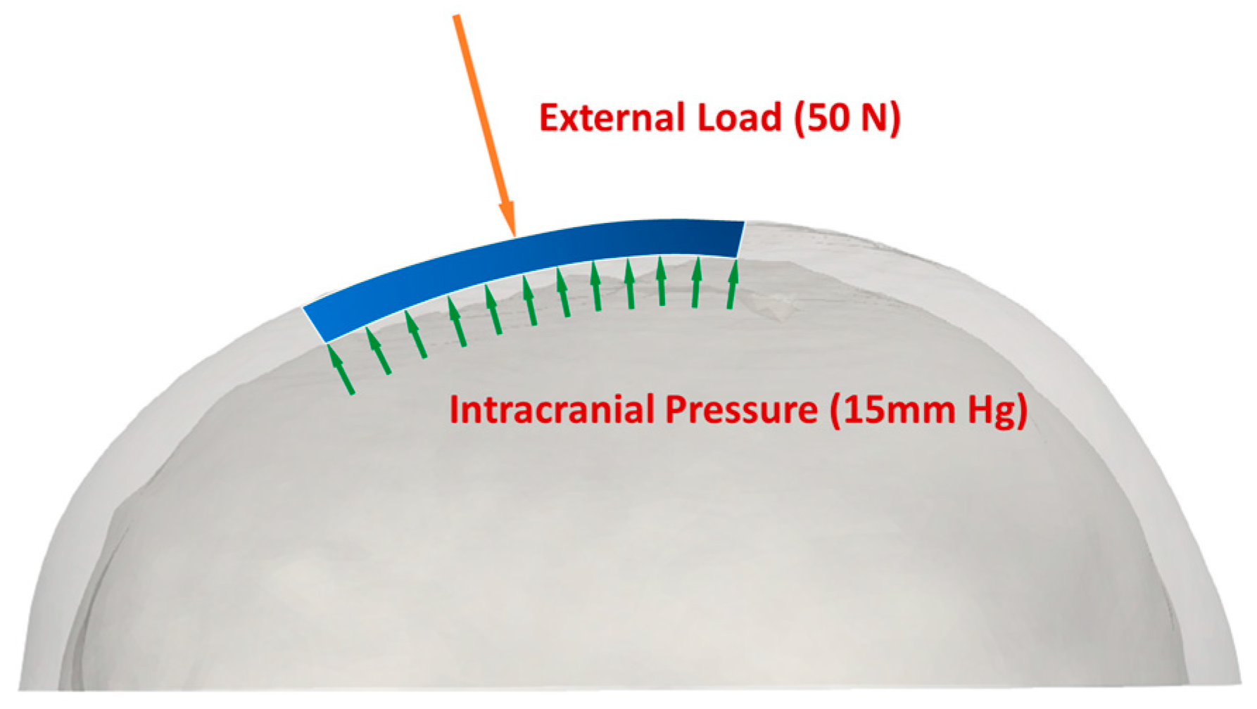 Biomimetics 08 00498 g005