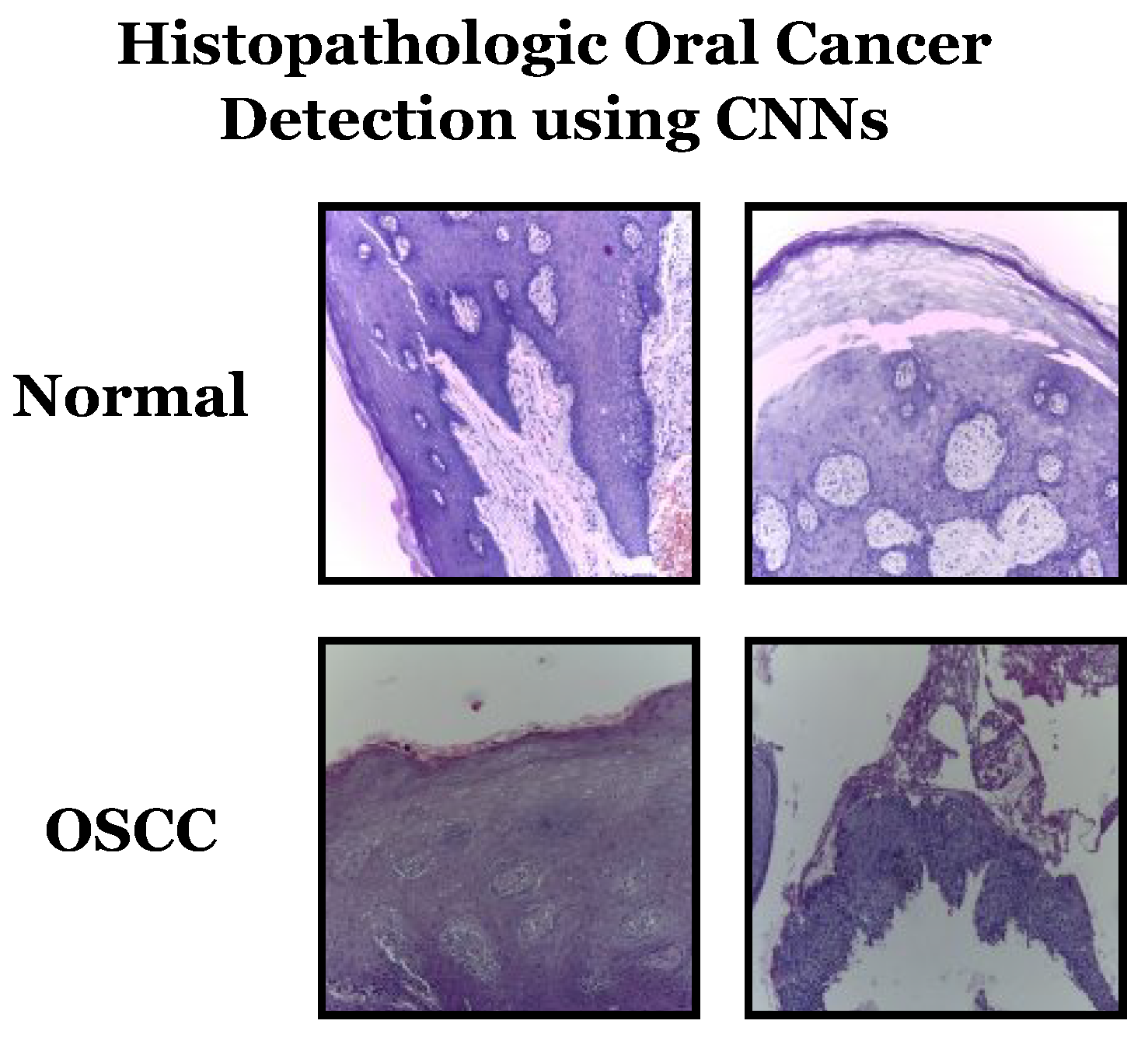 Biomimetics 08 00499 g005