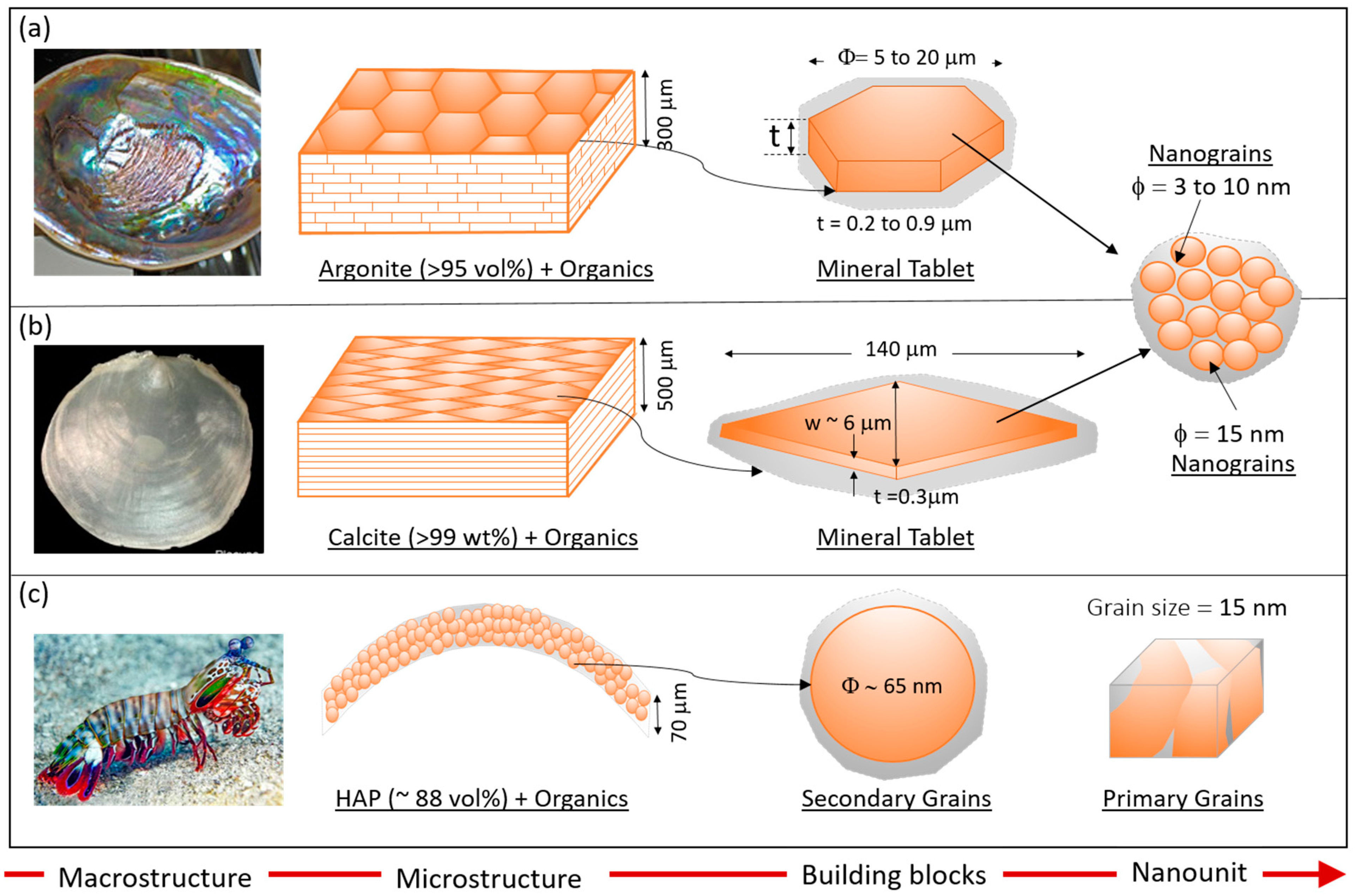 Biomimetics 08 00500 g001 Biomimetics 08 00500 g001