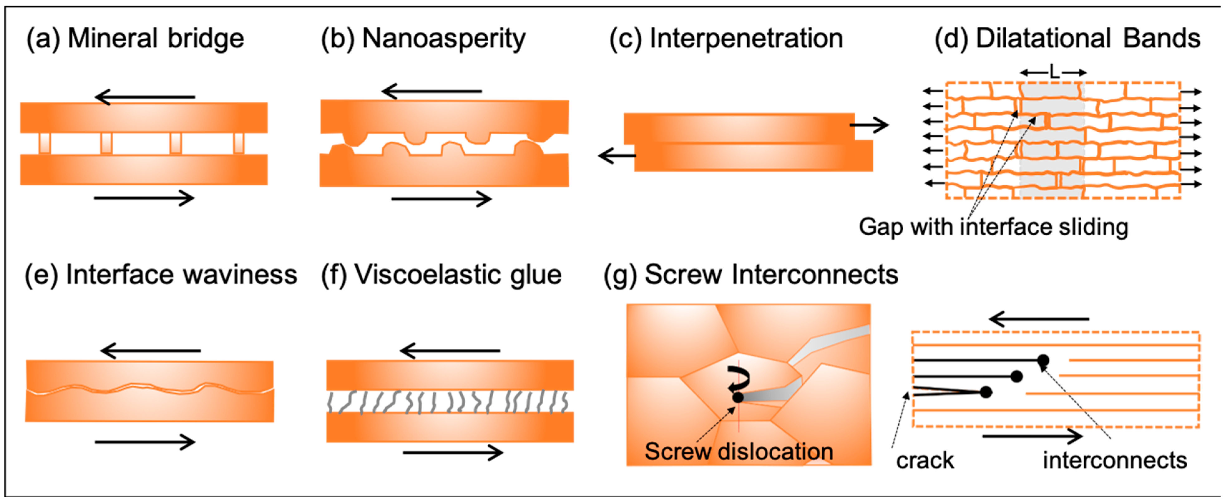 Biomimetics 08 00500 g003 Biomimetics 08 00500 g003