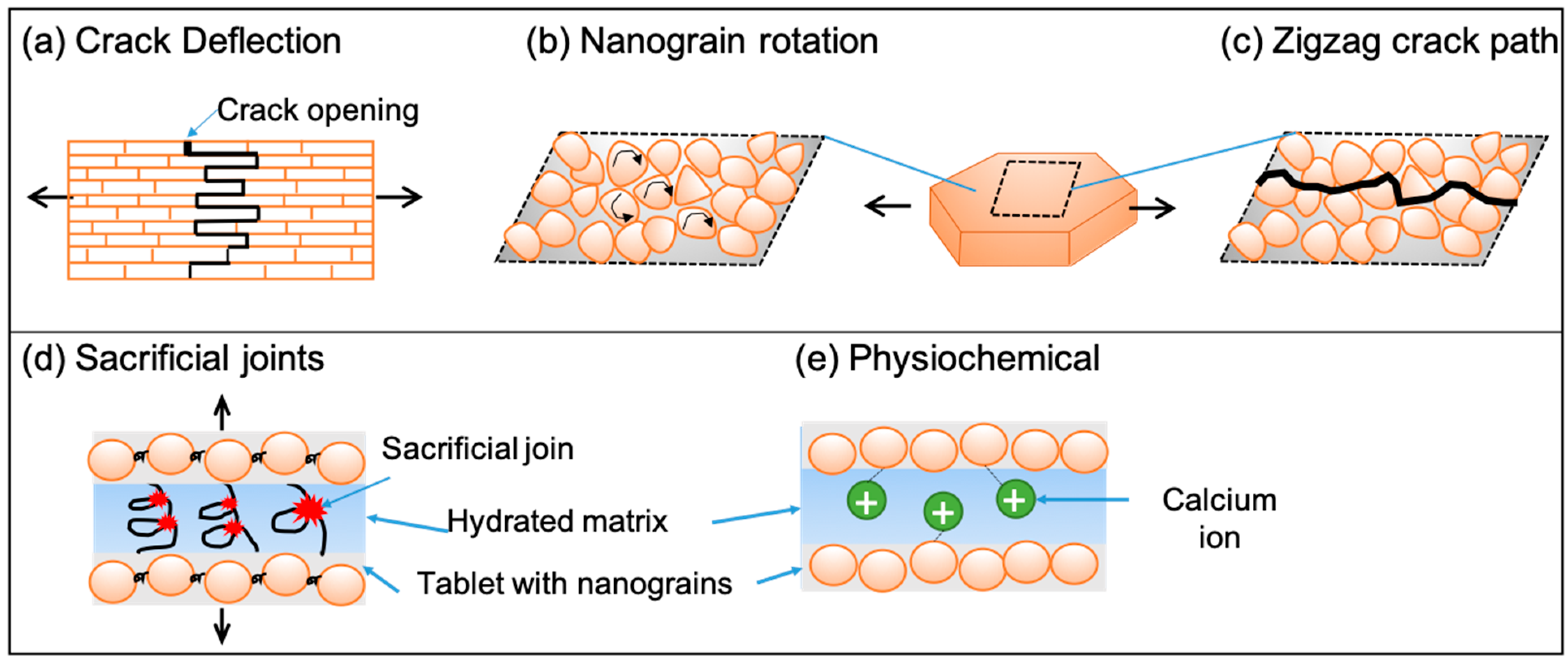 Biomimetics 08 00500 g004 Biomimetics 08 00500 g004