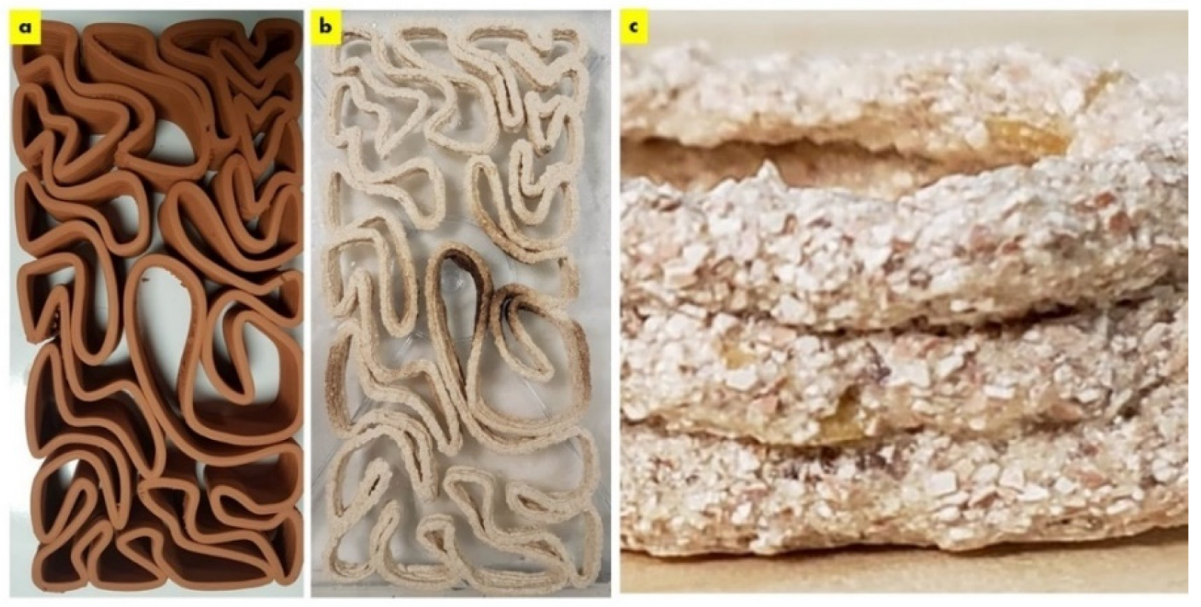 Biomimetics 08 00504 g002