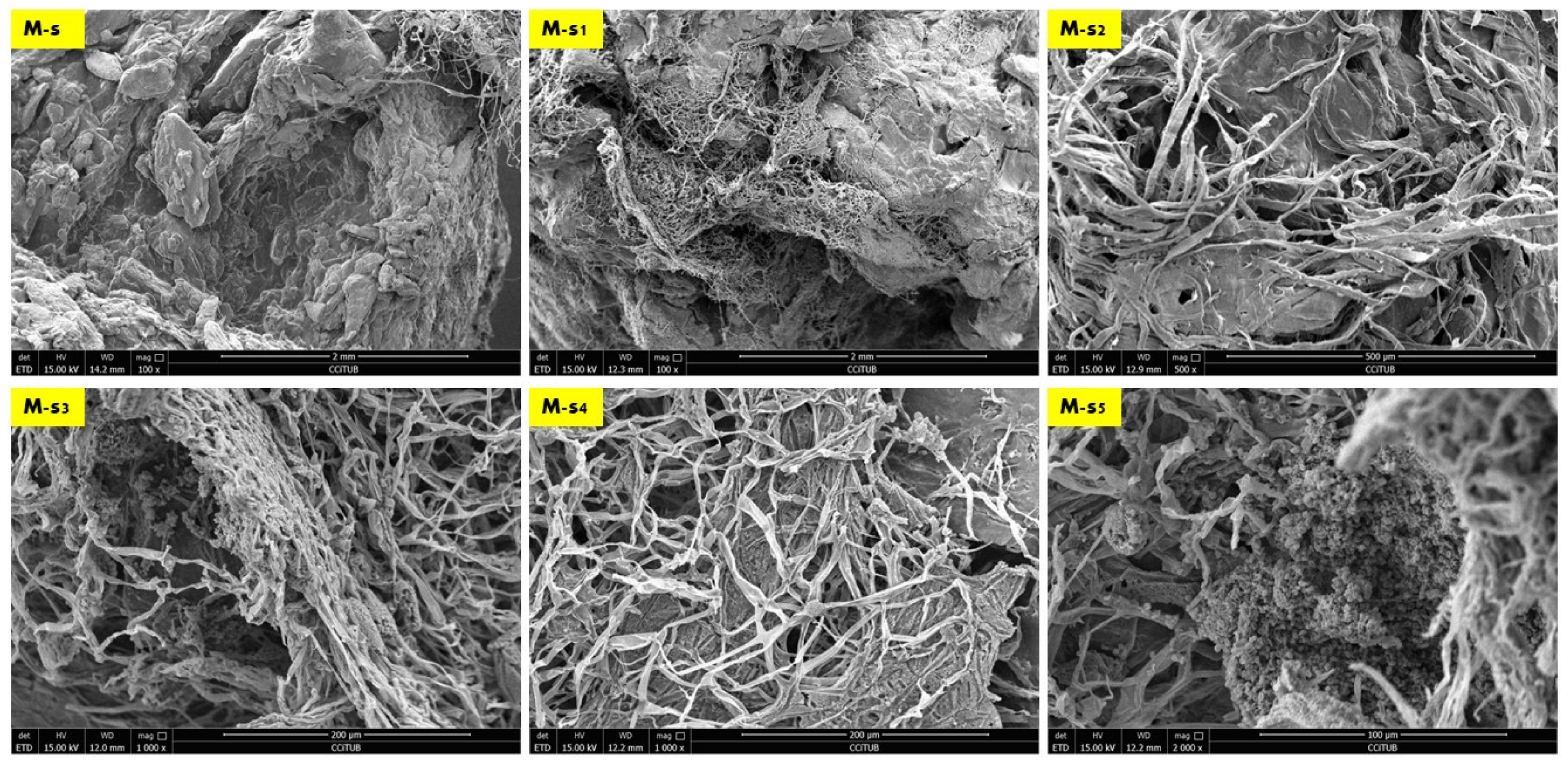 Biomimetics 08 00504 g005