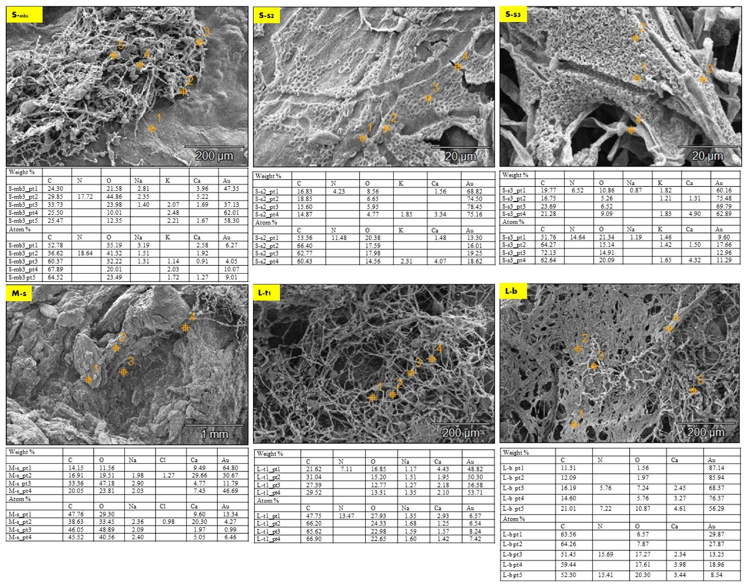 Biomimetics 08 00504 g007