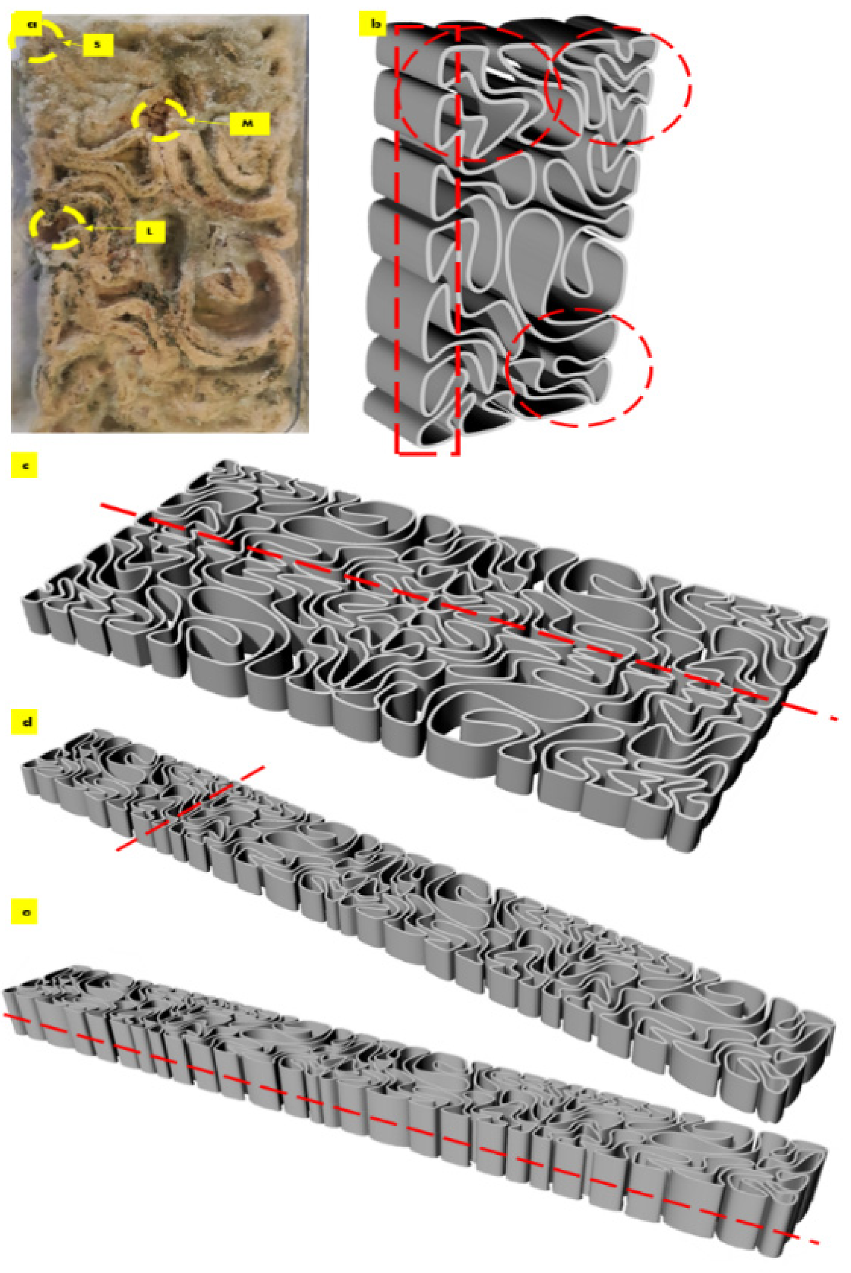 Biomimetics 08 00504 g009