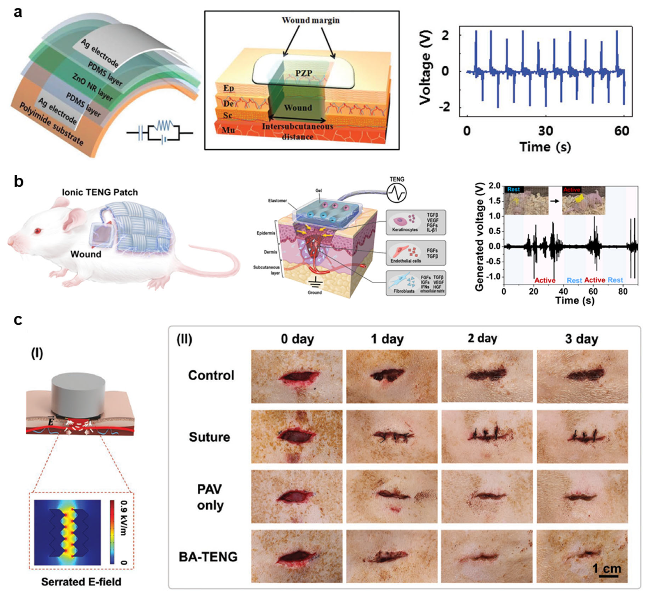 Biomimetics 08 00517 g003