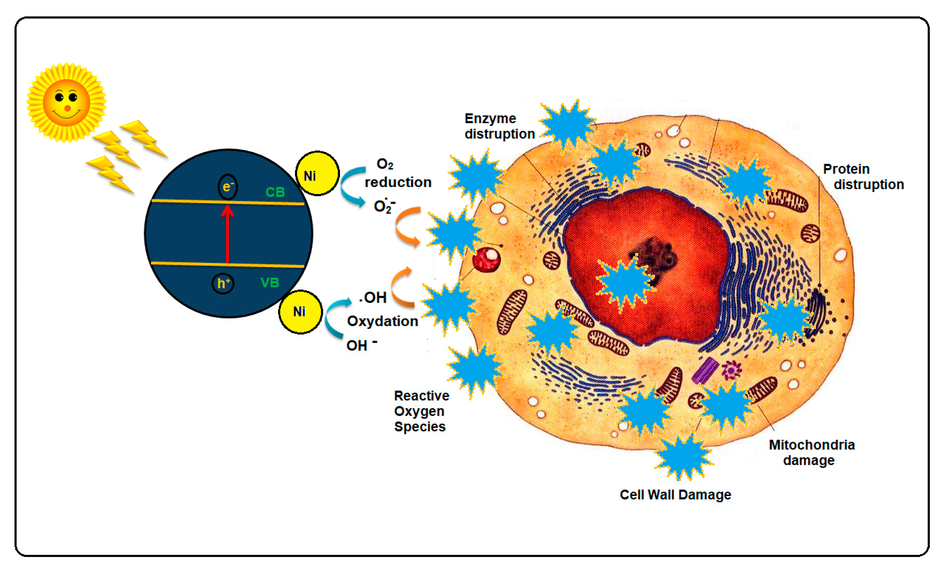 Biomimetics 08 00518 g008