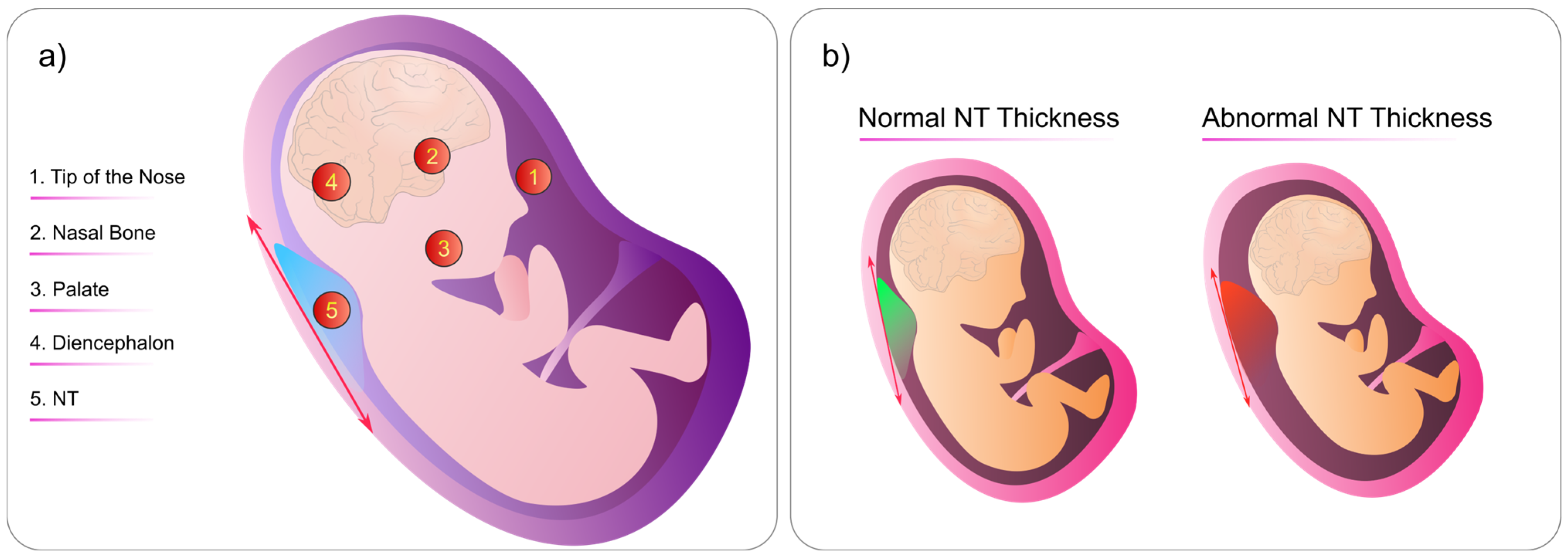Biomimetics 08 00519 g008
