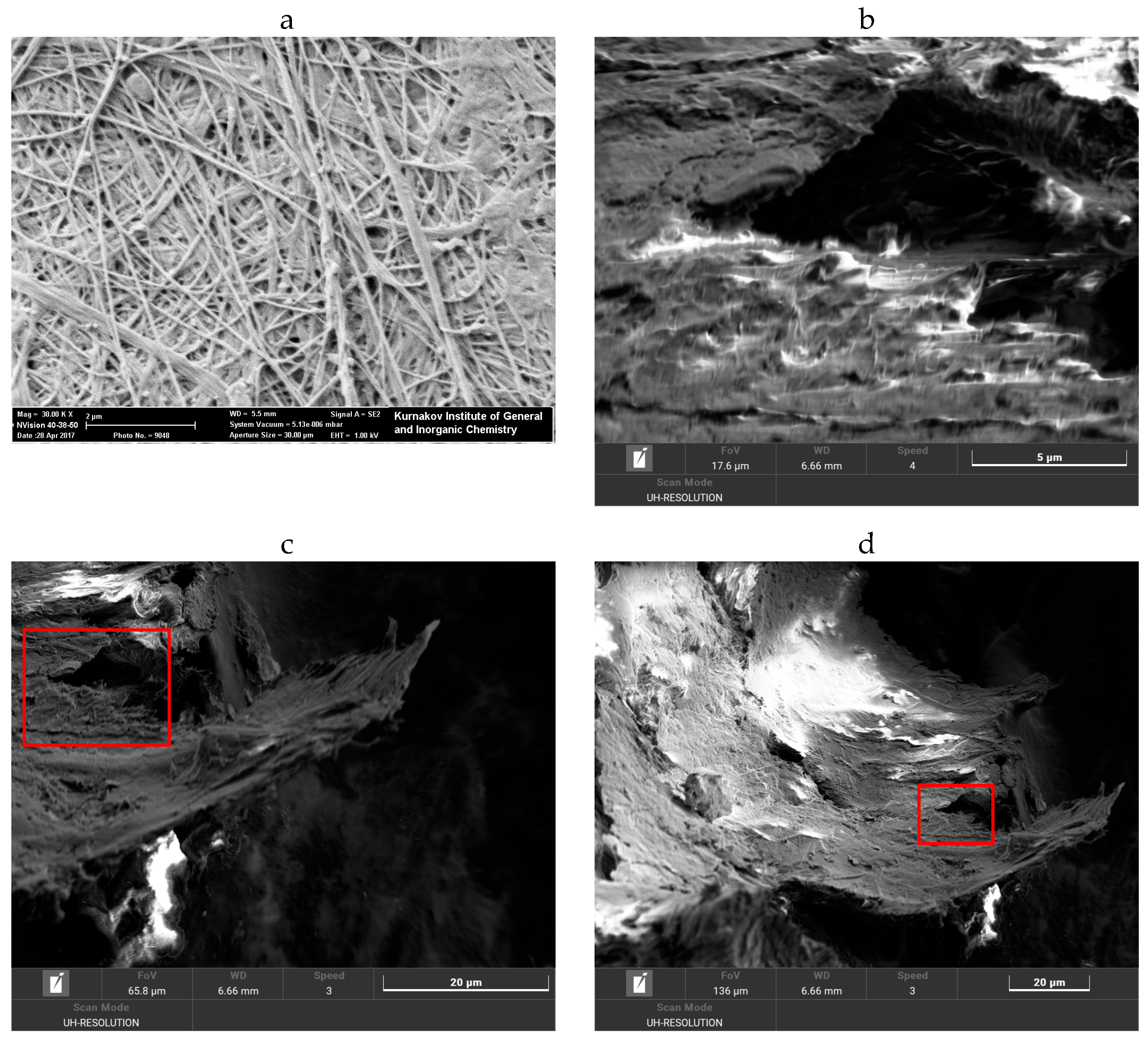 Biomimetics 08 00520 g003