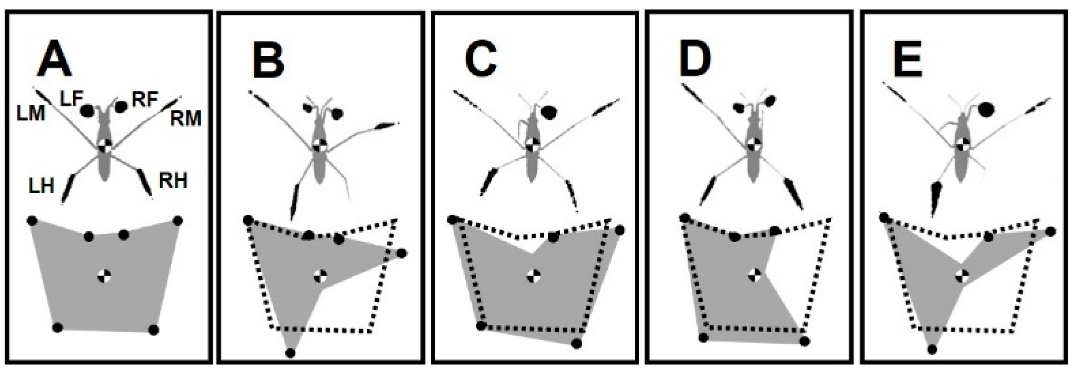 Biomimetics 08 00524 g002