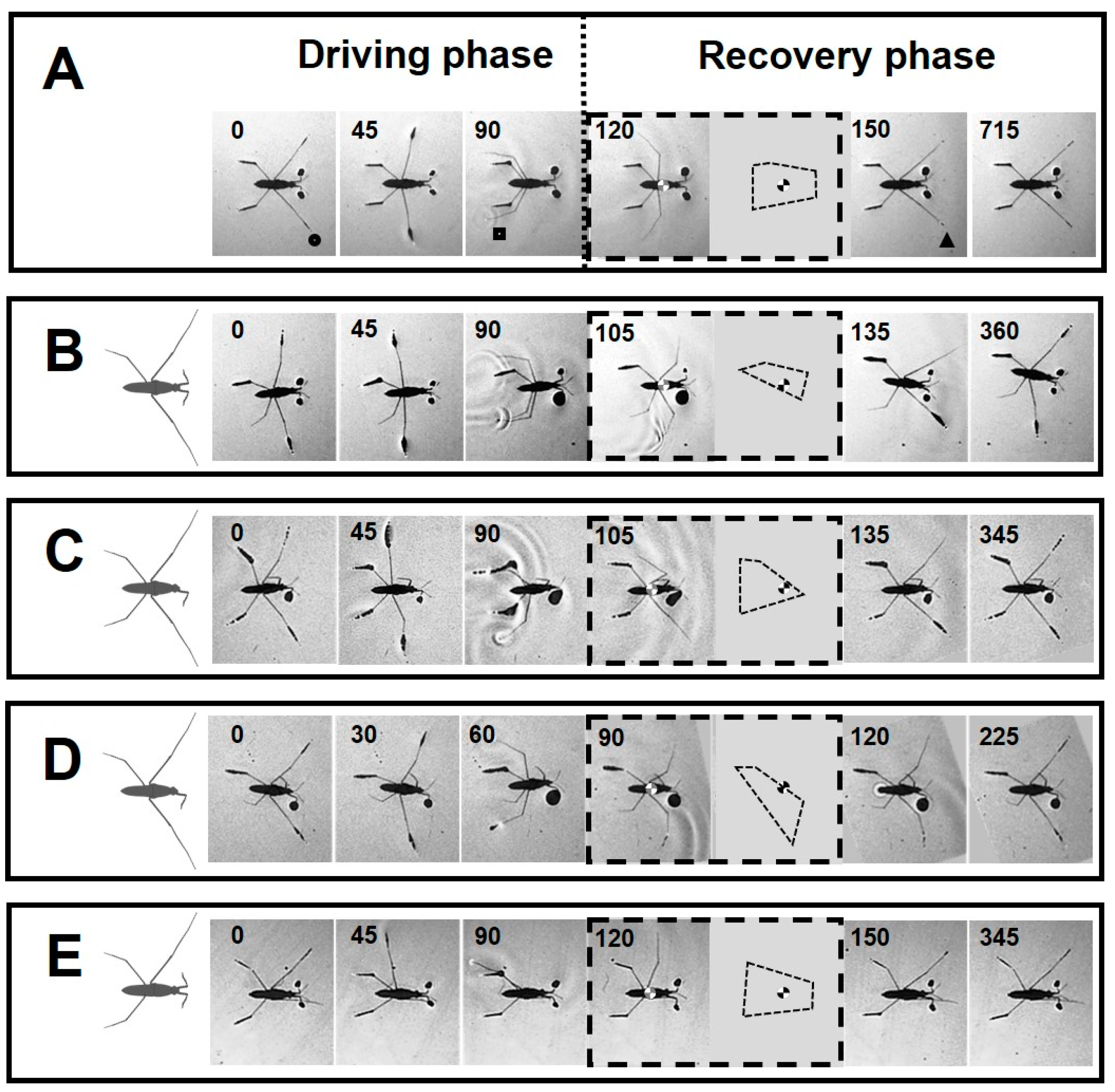 Biomimetics 08 00524 g003