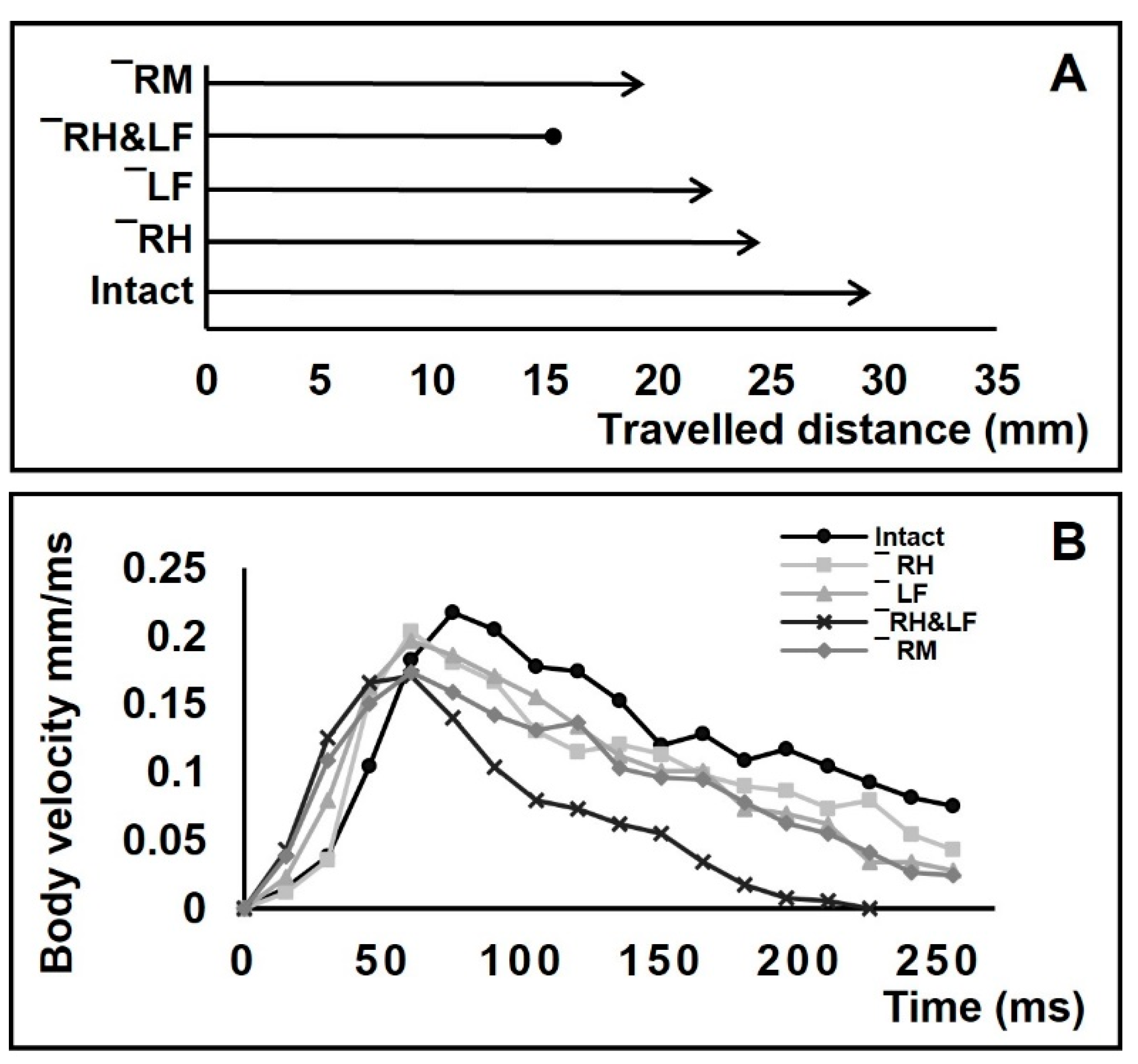 Biomimetics 08 00524 g008
