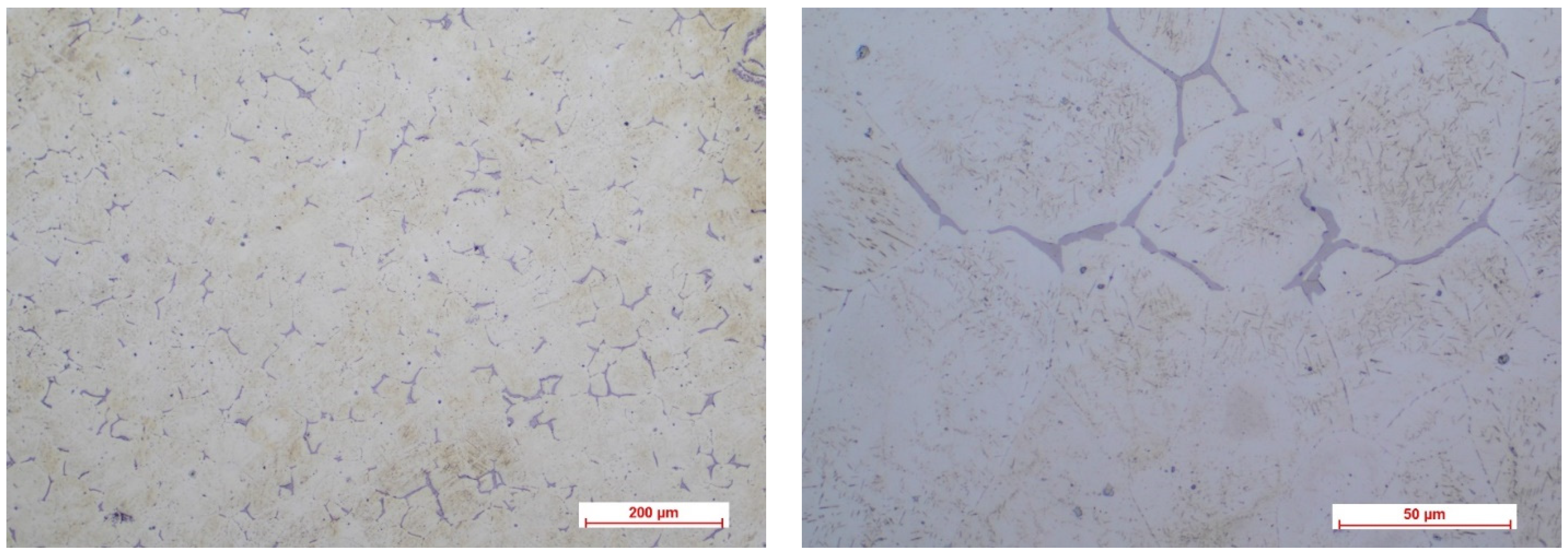 Biomimetics 08 00526 g004