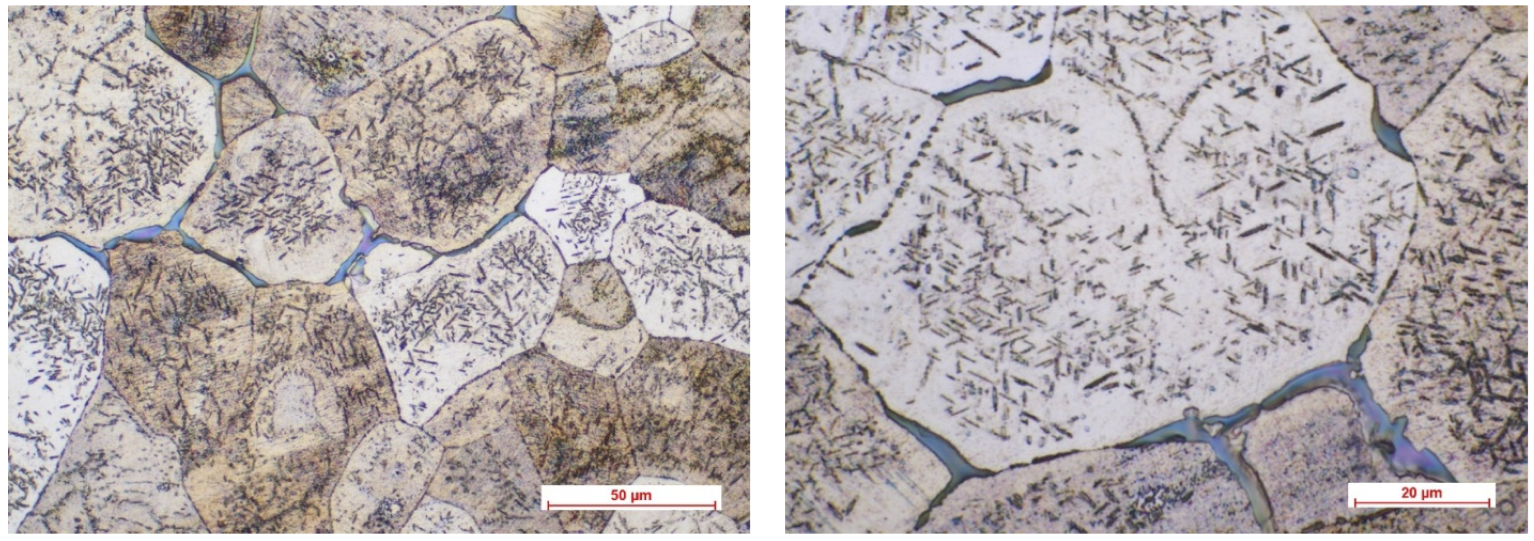 Biomimetics 08 00526 g005