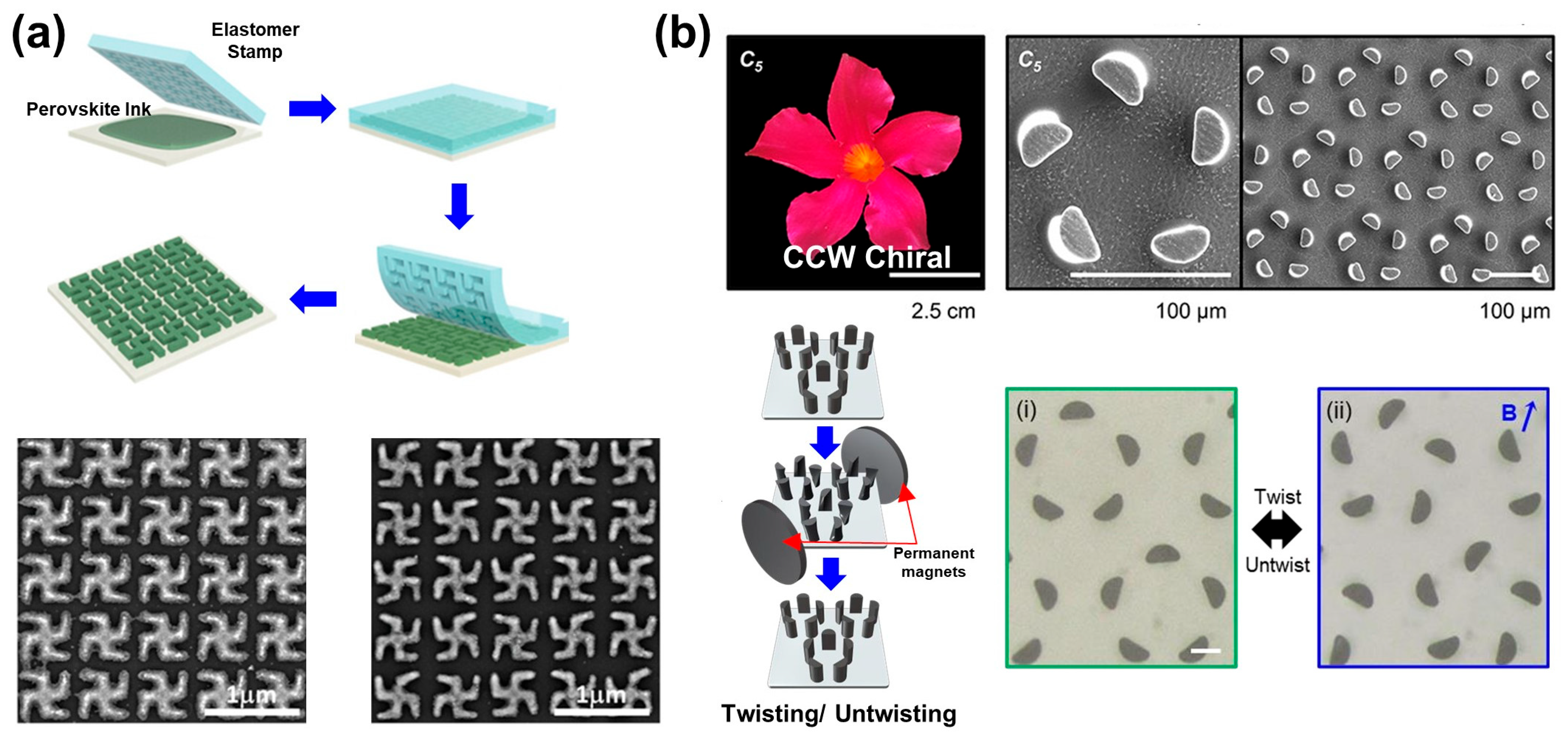 Biomimetics 08 00527 g004