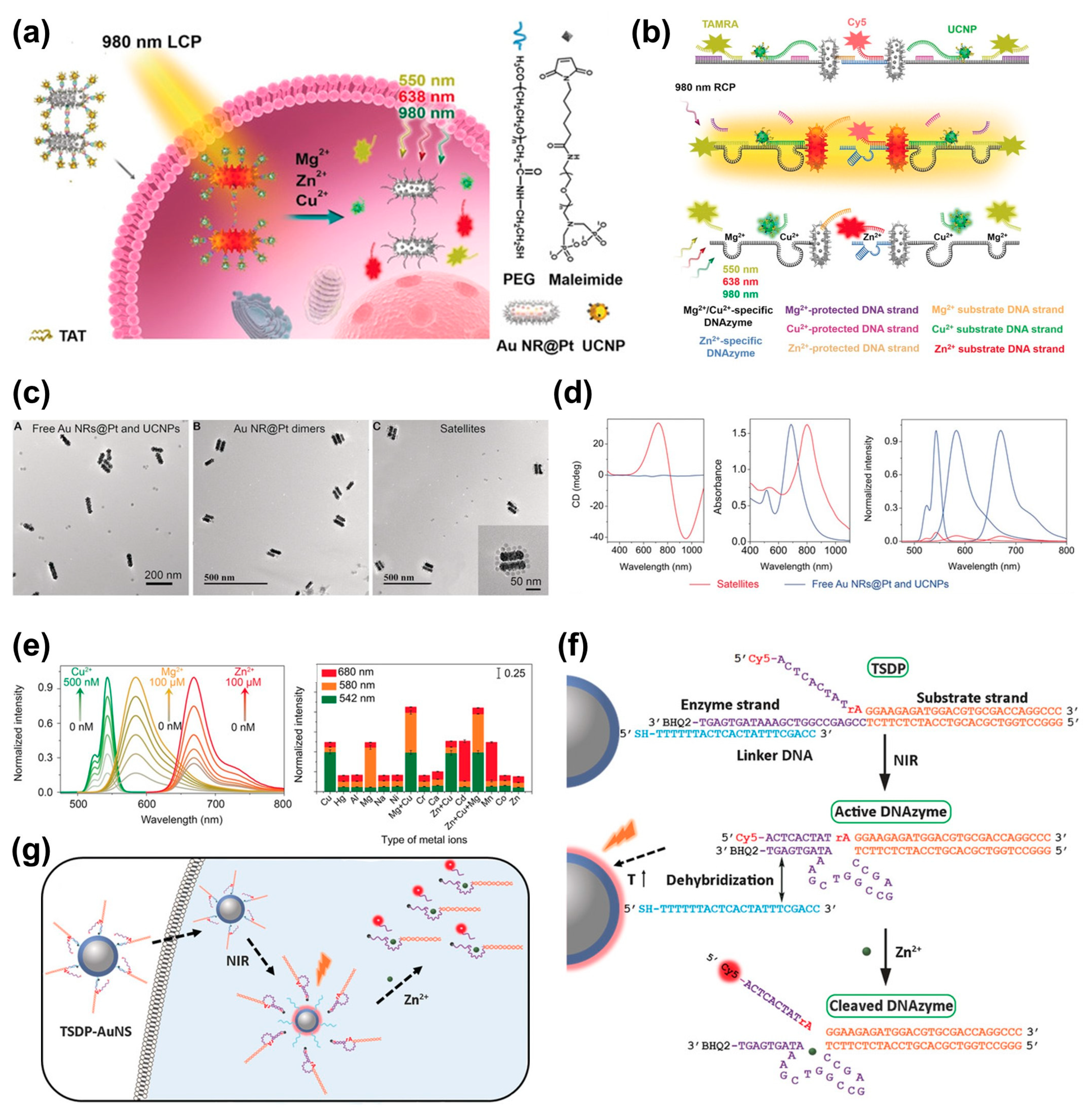 Biomimetics 08 00527 g008