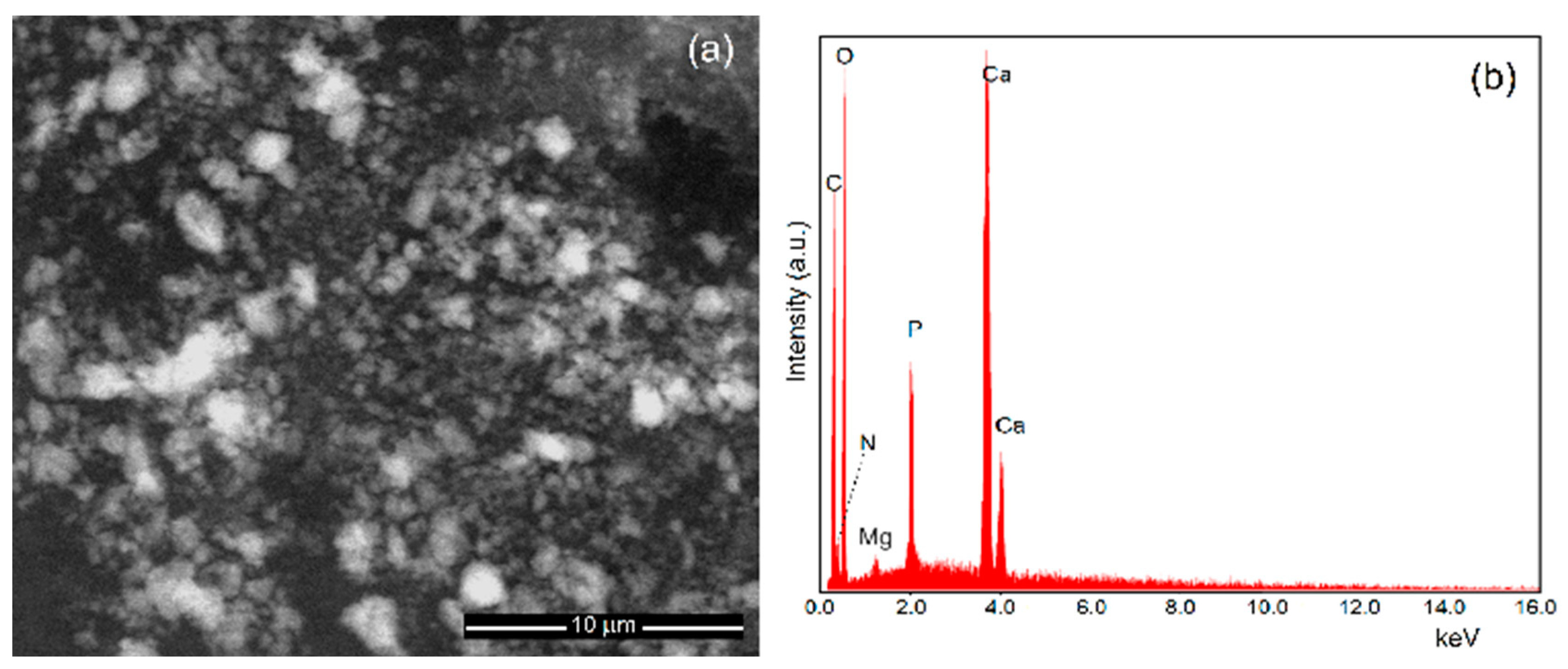 Biomimetics 08 00528 g006
