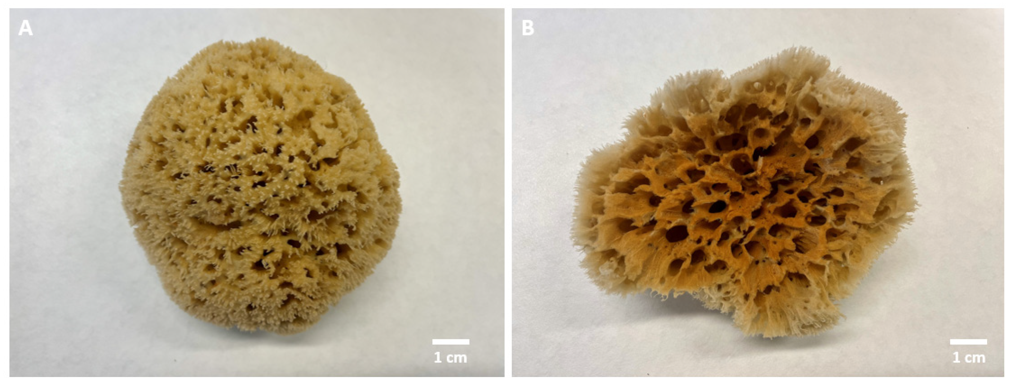 Biomimetics 08 00533 g001 Biomimetics 08 00533 g001