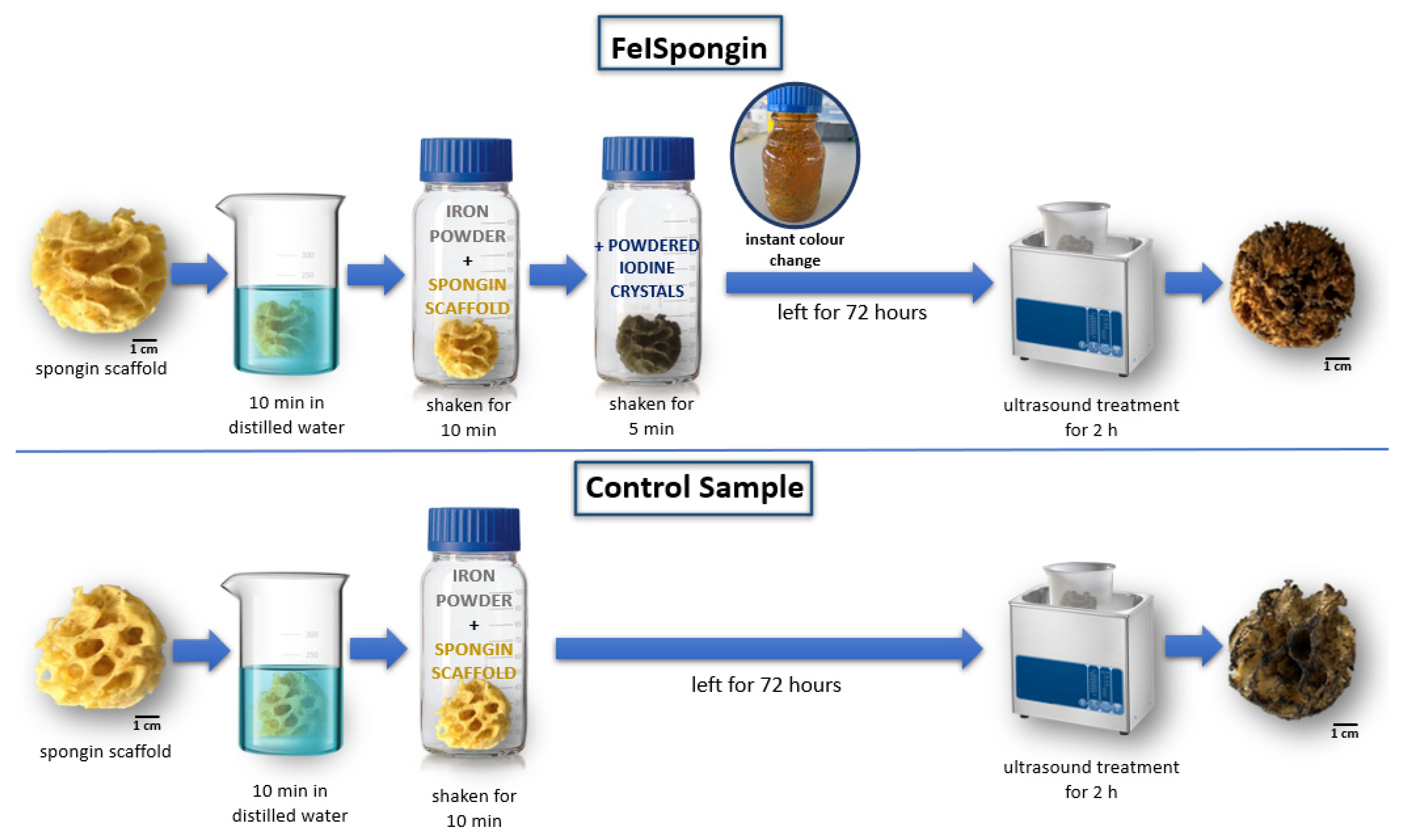 Biomimetics 08 00533 g002 Biomimetics 08 00533 g002