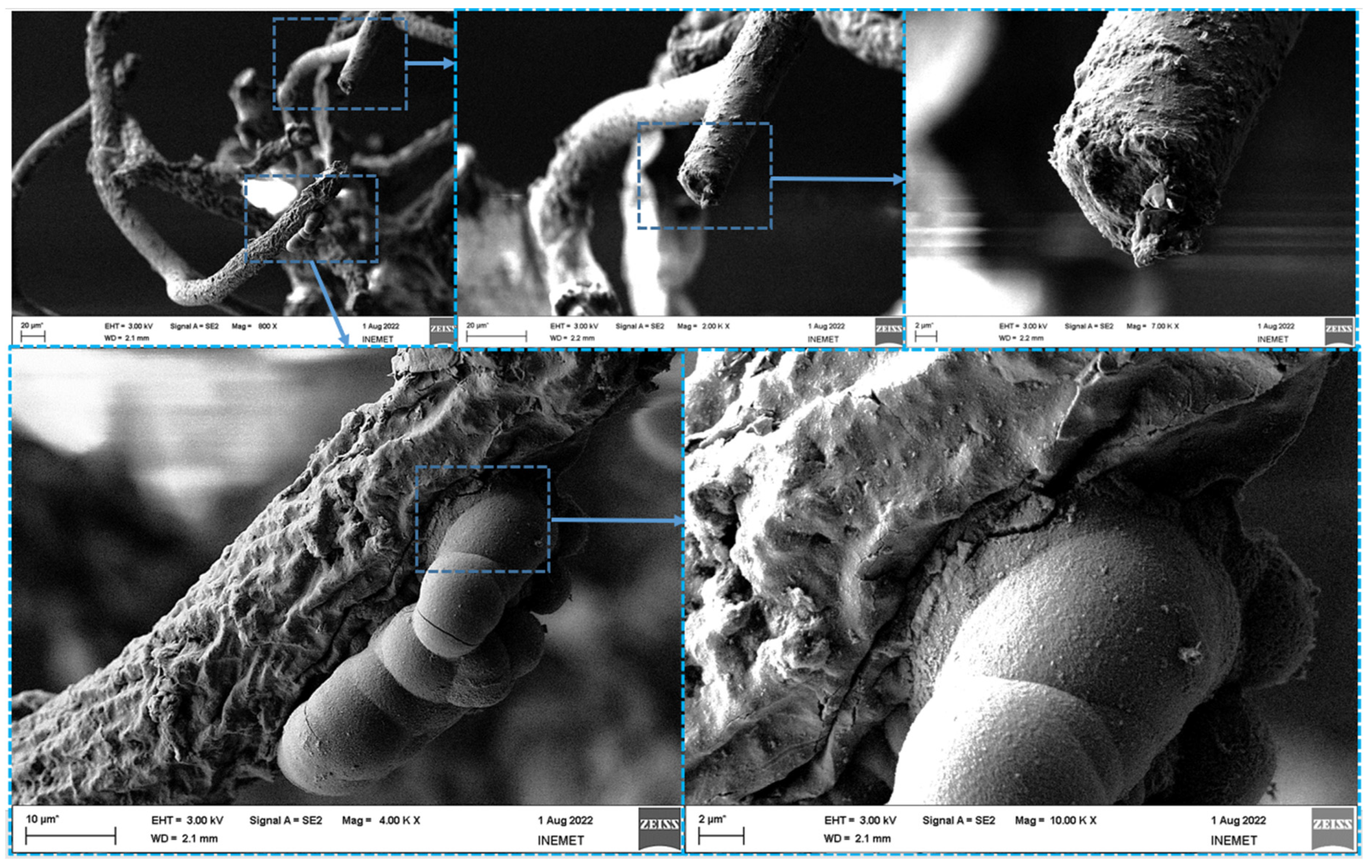 Biomimetics 08 00533 g005 Biomimetics 08 00533 g005
