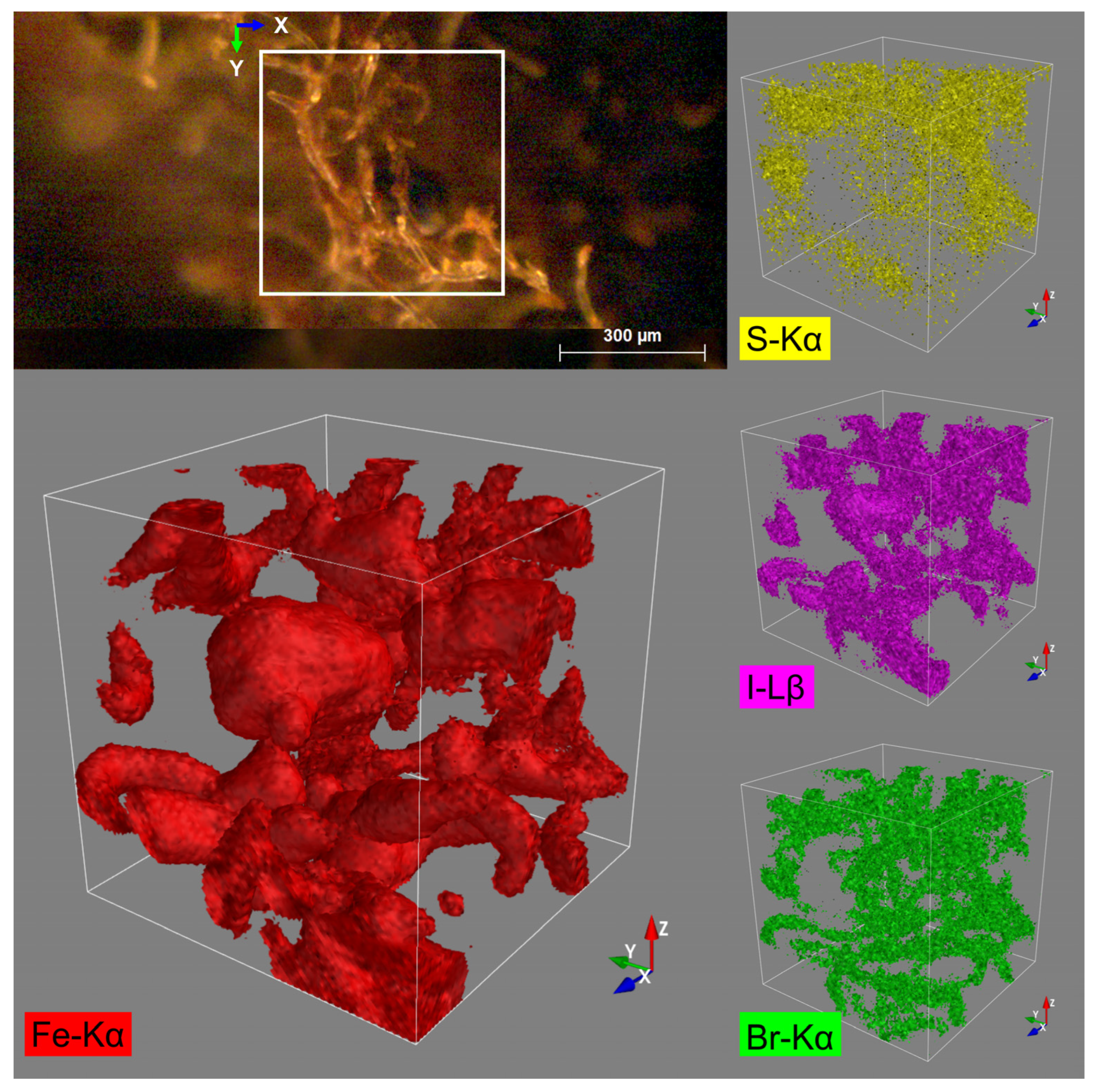 Biomimetics 08 00533 g012 Biomimetics 08 00533 g012