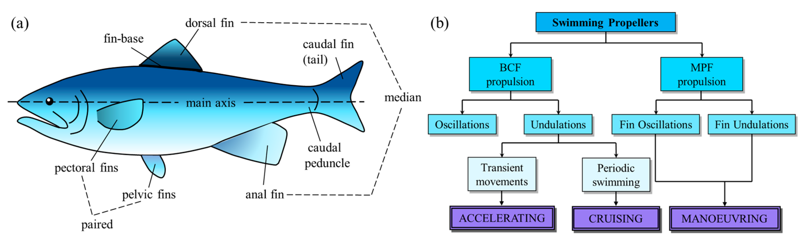 Biomimetics 08 00534 g001 Biomimetics 08 00534 g001