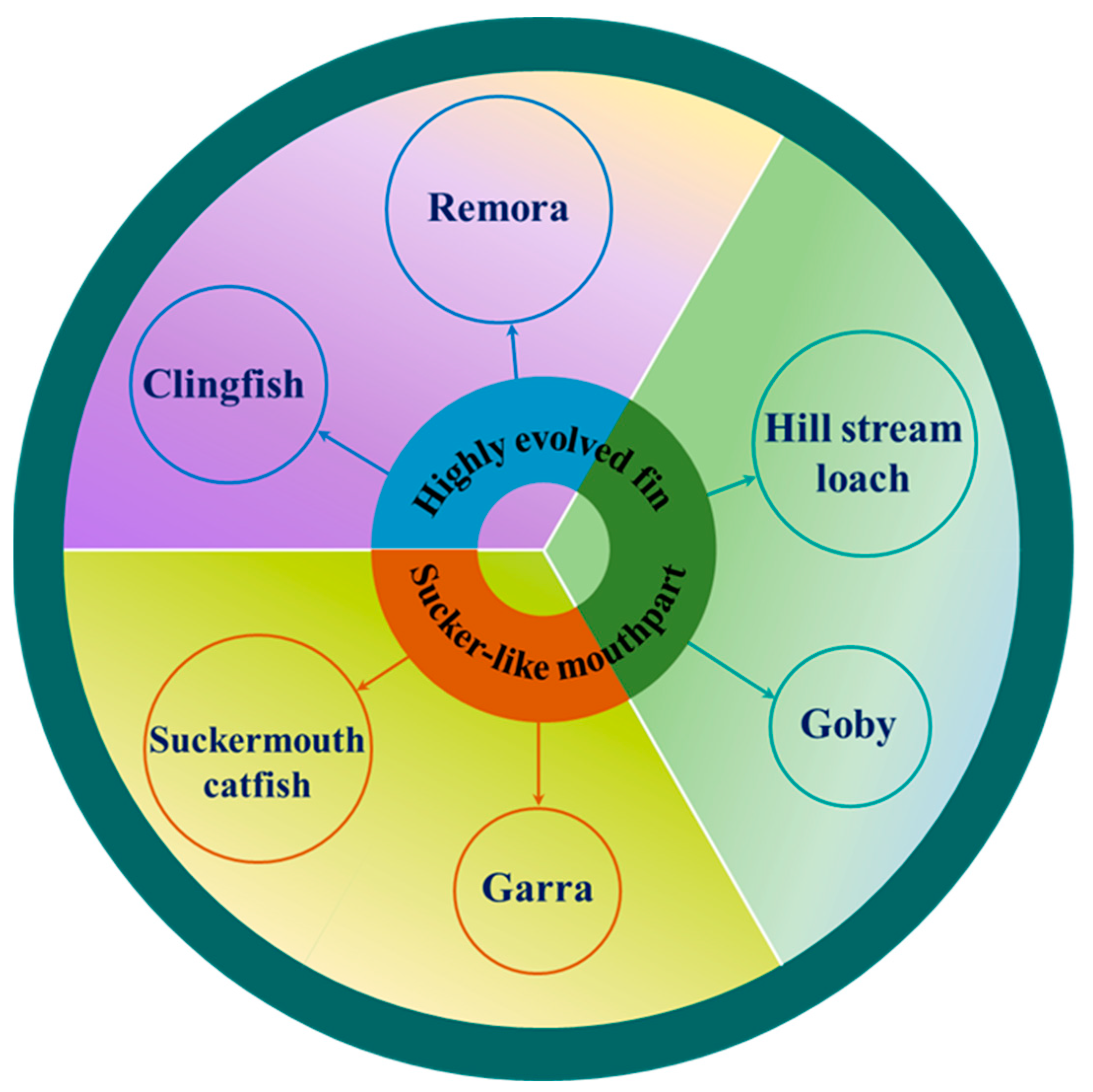 Biomimetics 08 00534 g003 Biomimetics 08 00534 g003