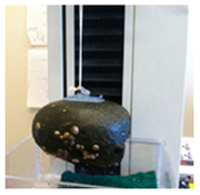 Biomimetics 08 00534 i001 Biomimetics 08 00534 i001