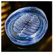 Biomimetics 08 00534 i004 Biomimetics 08 00534 i004