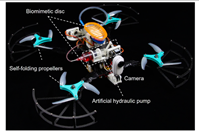 Biomimetics 08 00534 i009 Biomimetics 08 00534 i009