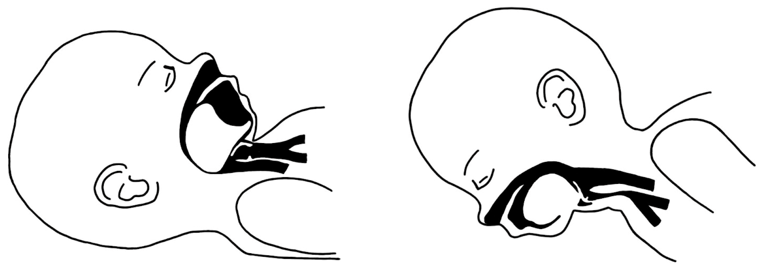 Biomimetics 08 00536 g001