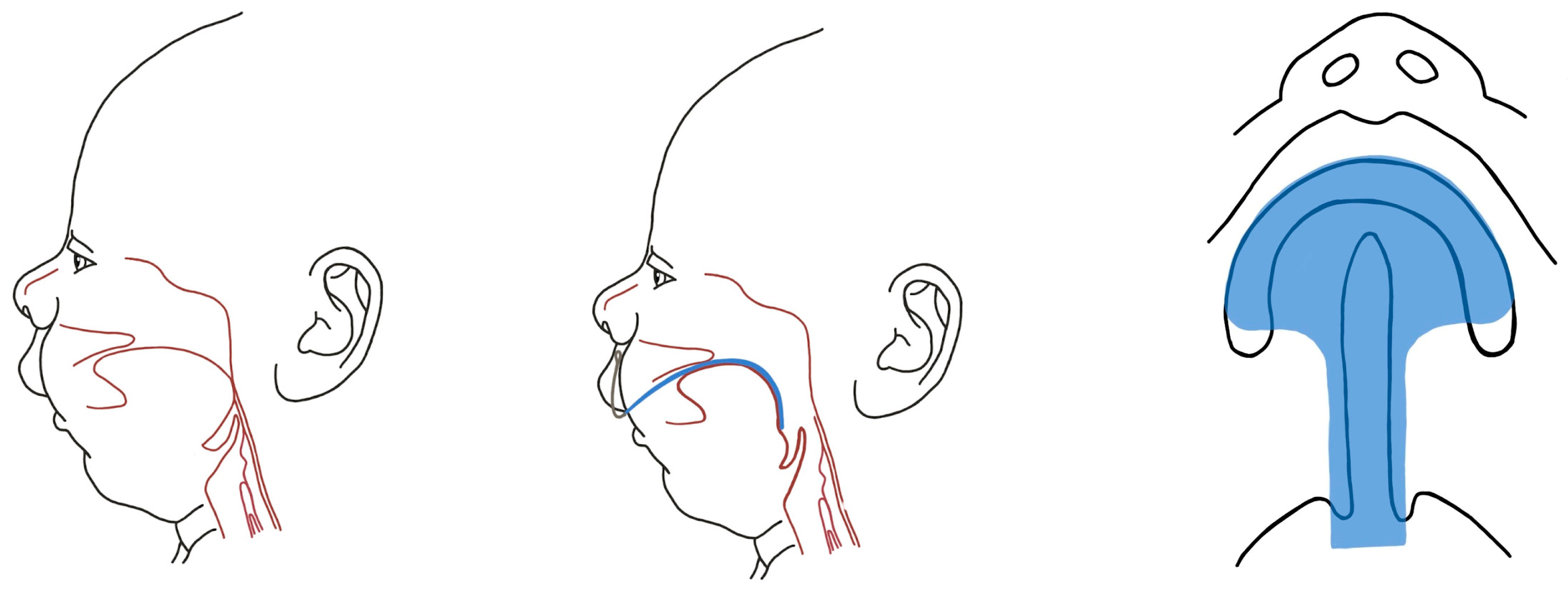 Biomimetics 08 00536 g005