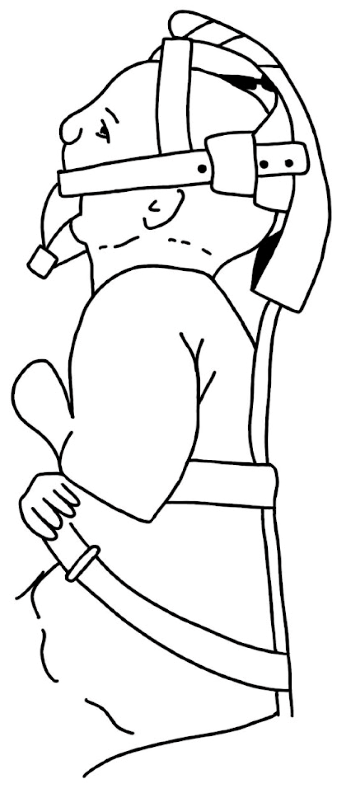 Biomimetics 08 00536 g008