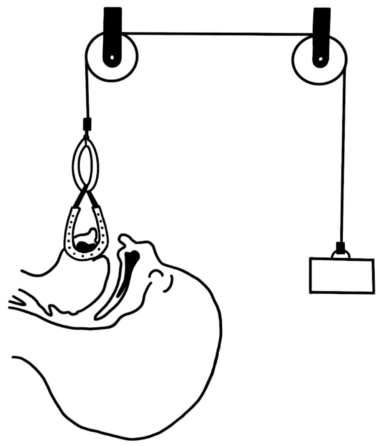 Biomimetics 08 00536 g009