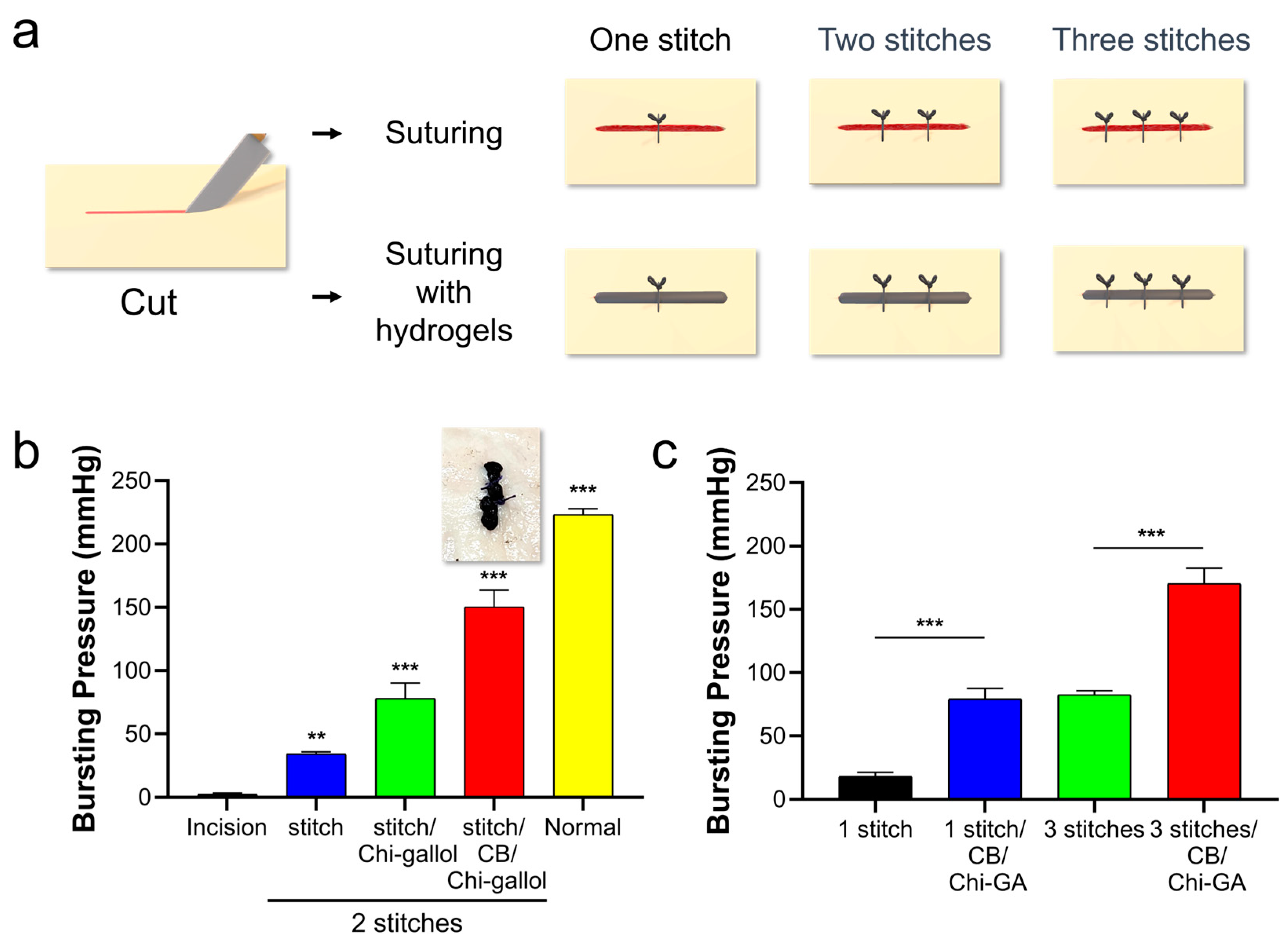 Biomimetics 08 00542 g008