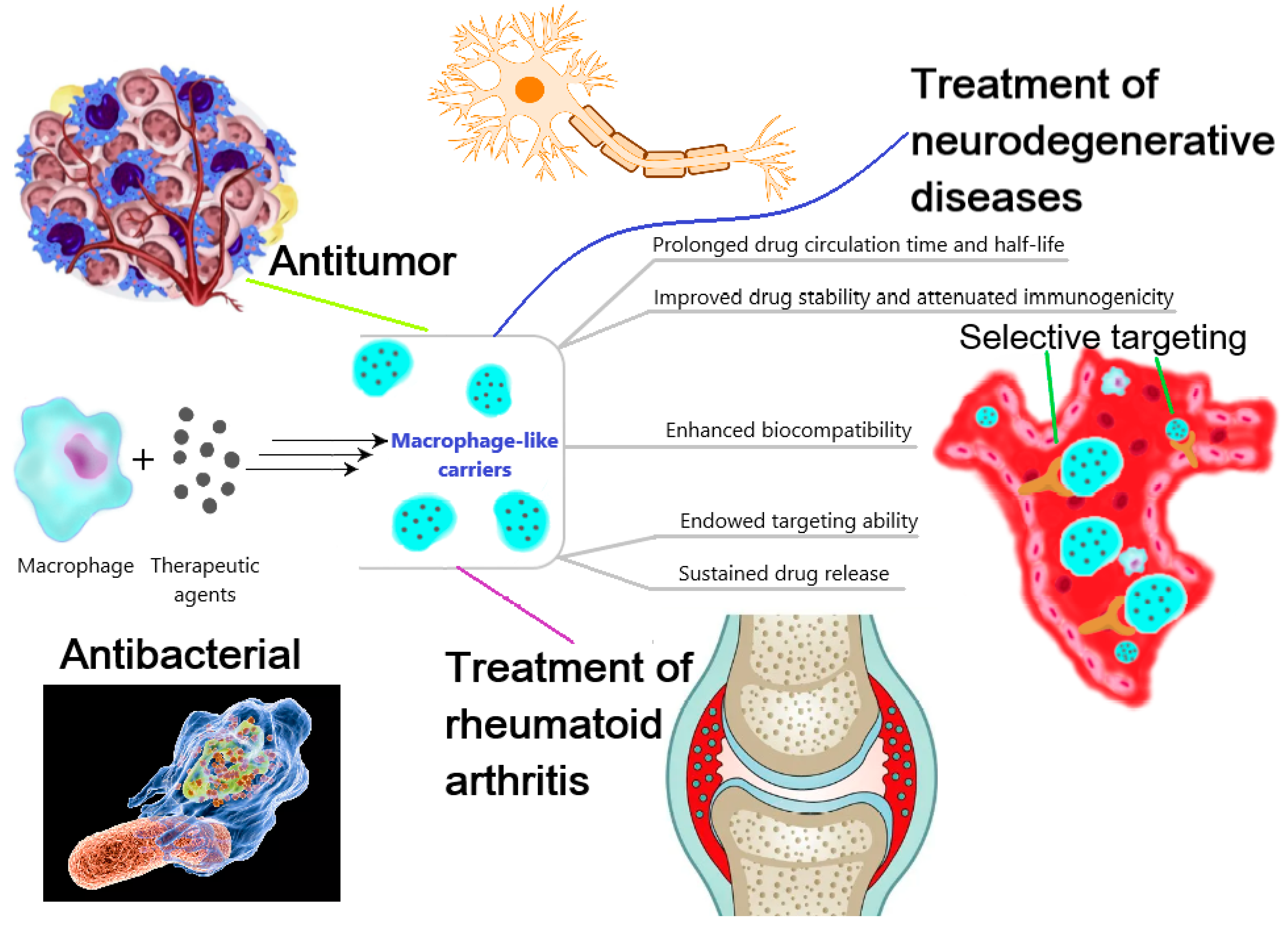 Biomimetics 08 00543 g002