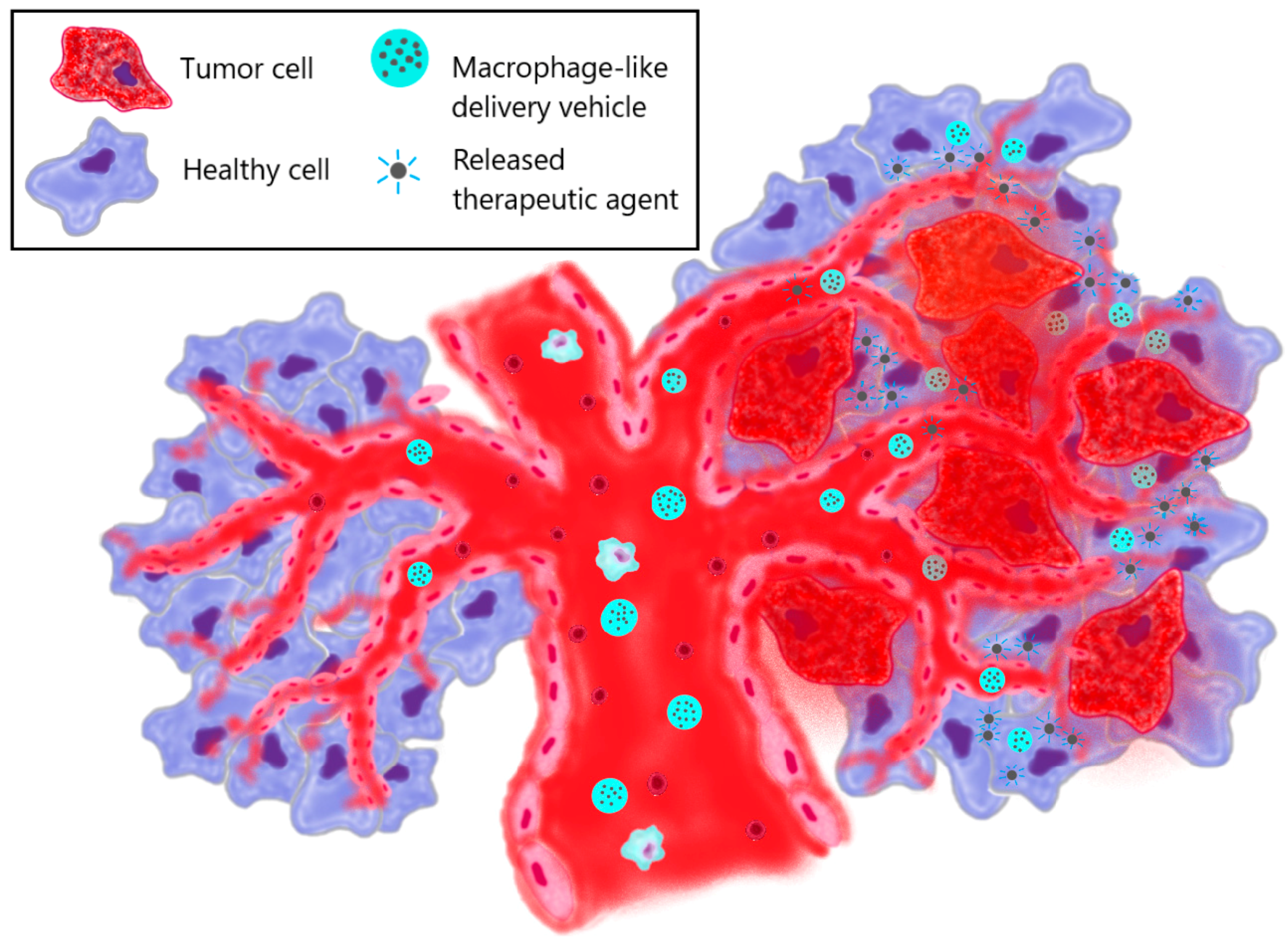 Biomimetics 08 00543 g004