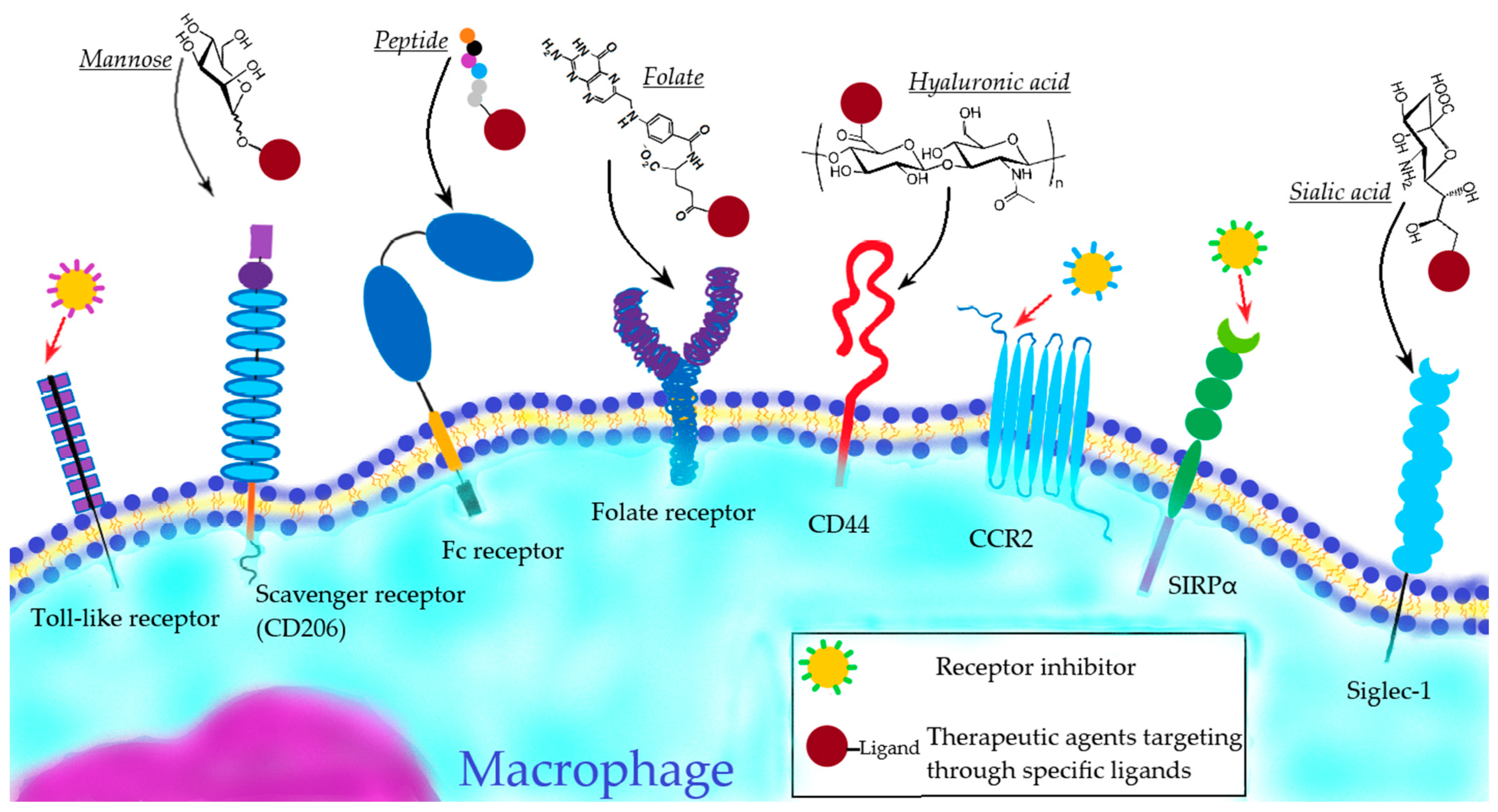 Biomimetics 08 00543 g005